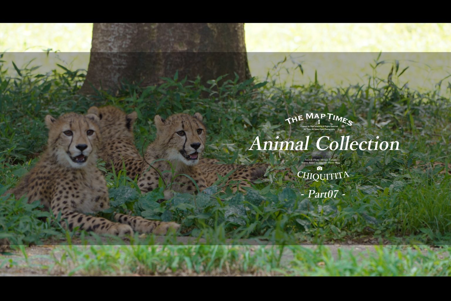 【SONY】アニコレ～Animal collection～Part7