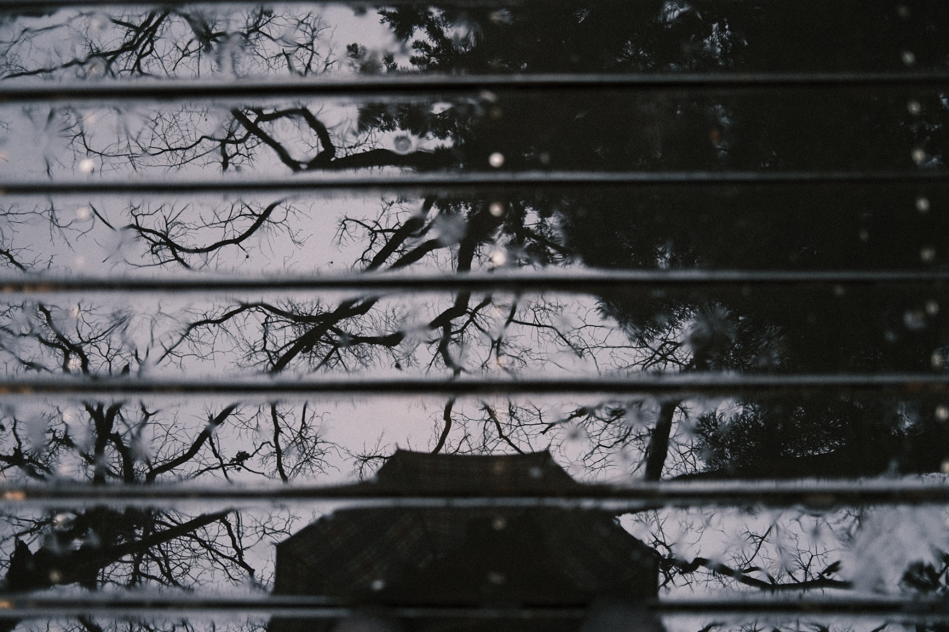 【FUJIFILM】X100Vのクラシックネガのみで雨の日に