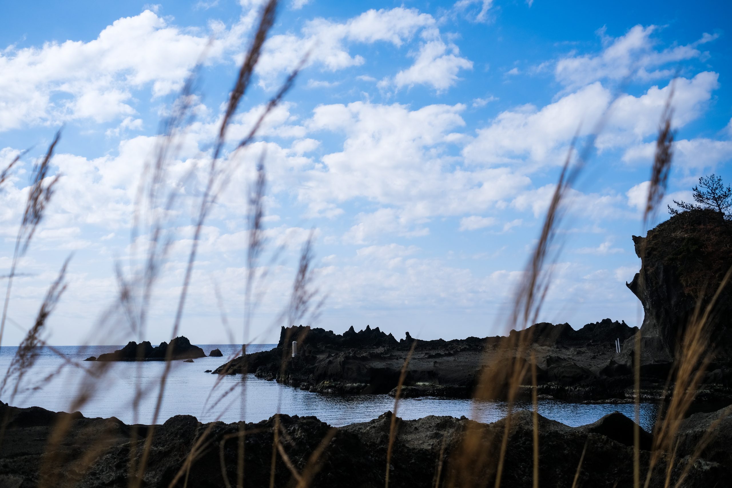 【FUJIFILM】フジノン XF27mm F2.8 作例
