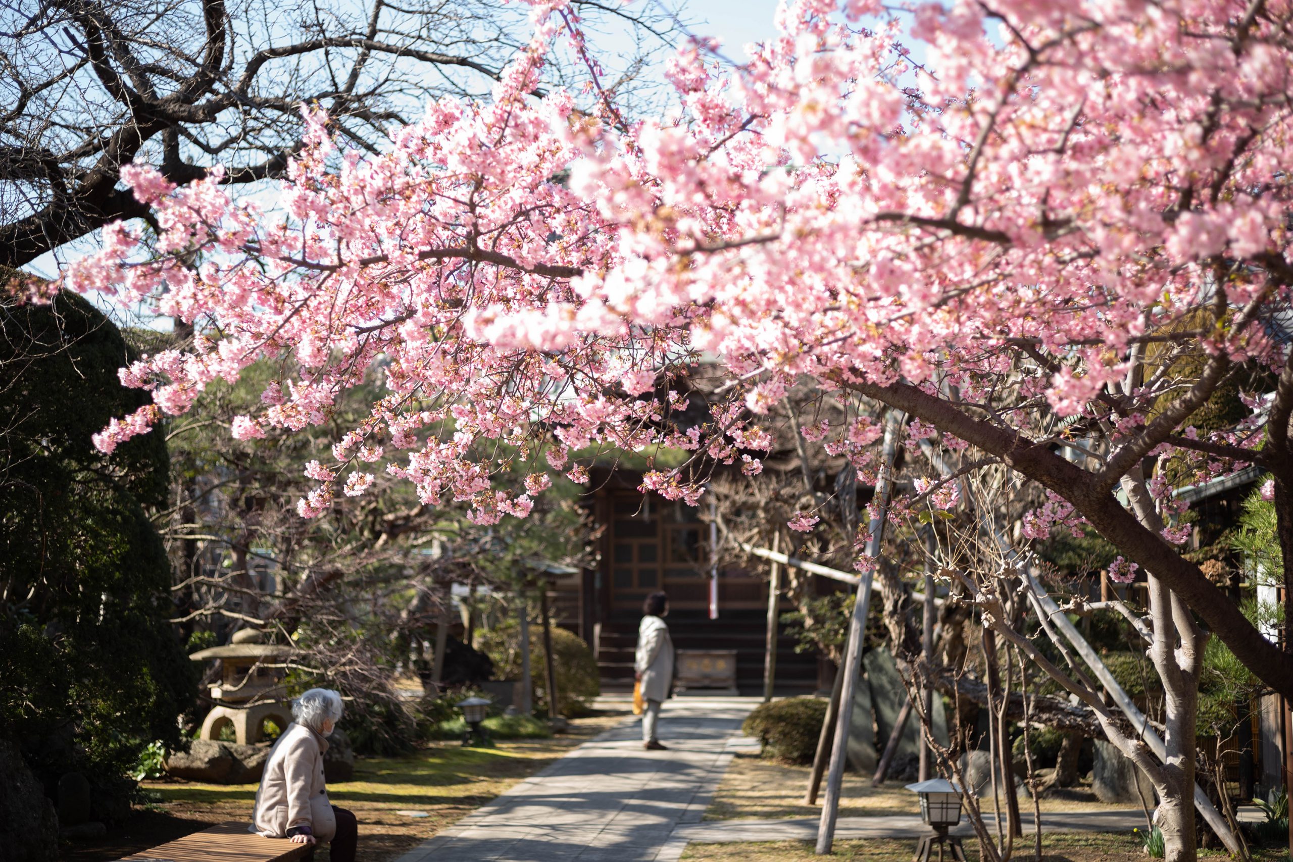 智泉院