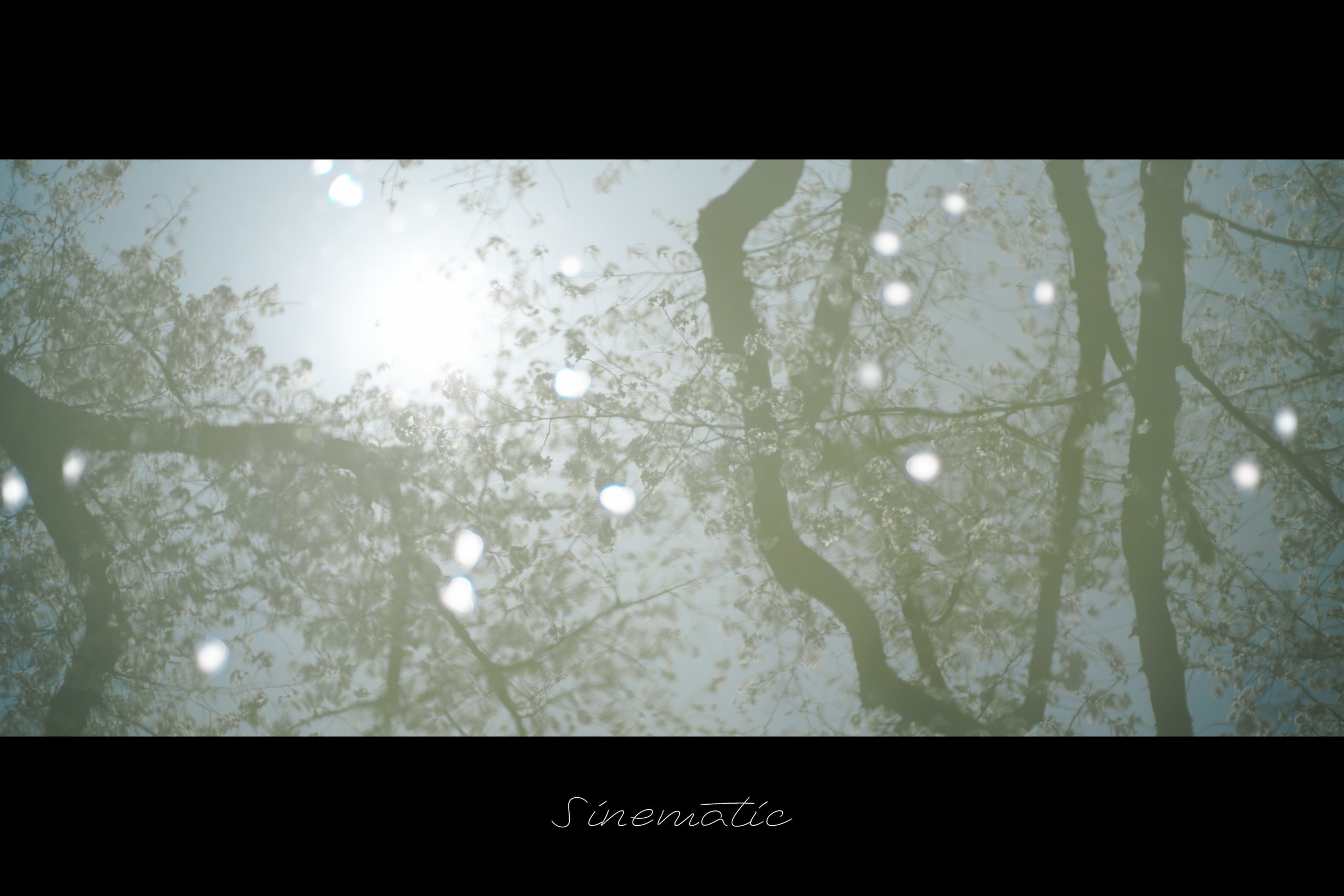 【SIGMA】Cinematic,Sinematic