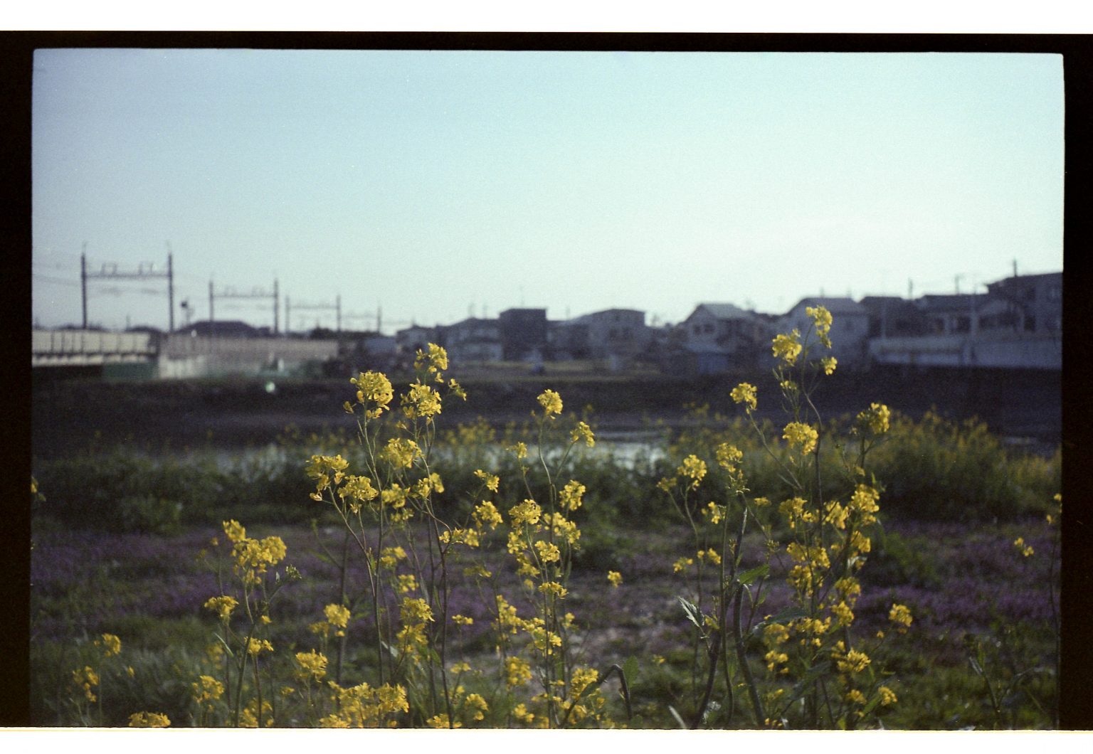 本日もまた写真日和。七日目。