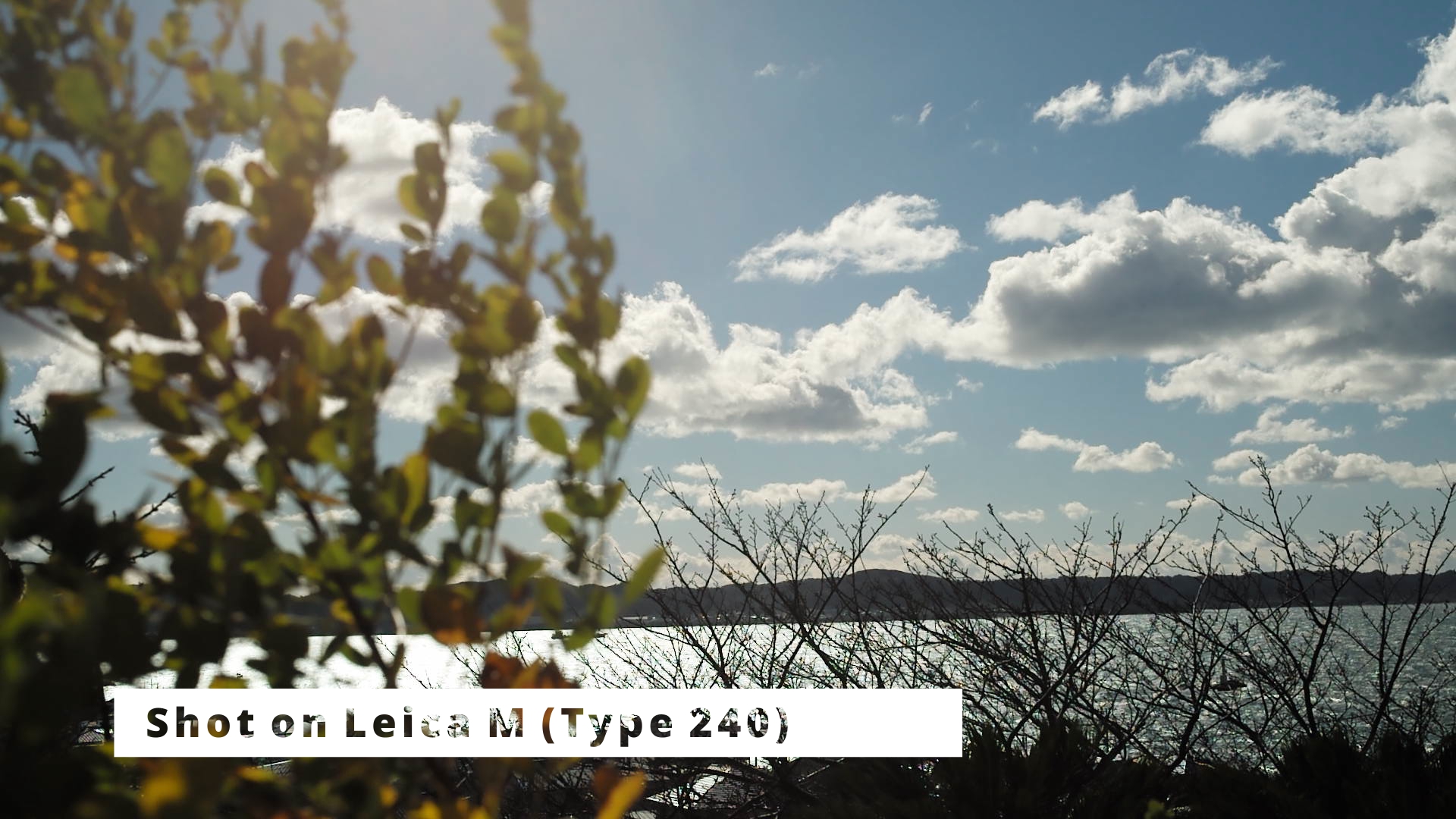 Leica M(Typ240)で南房総を撮る。