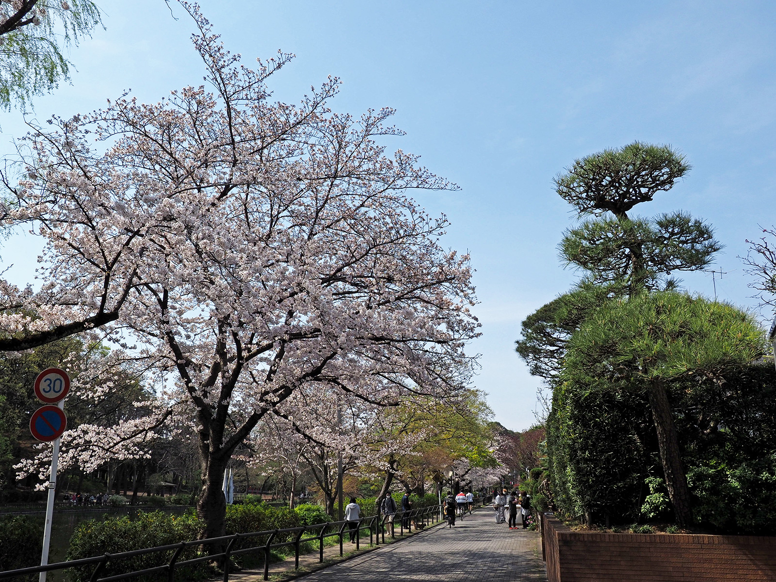 撮り歩き in 公園シリーズ