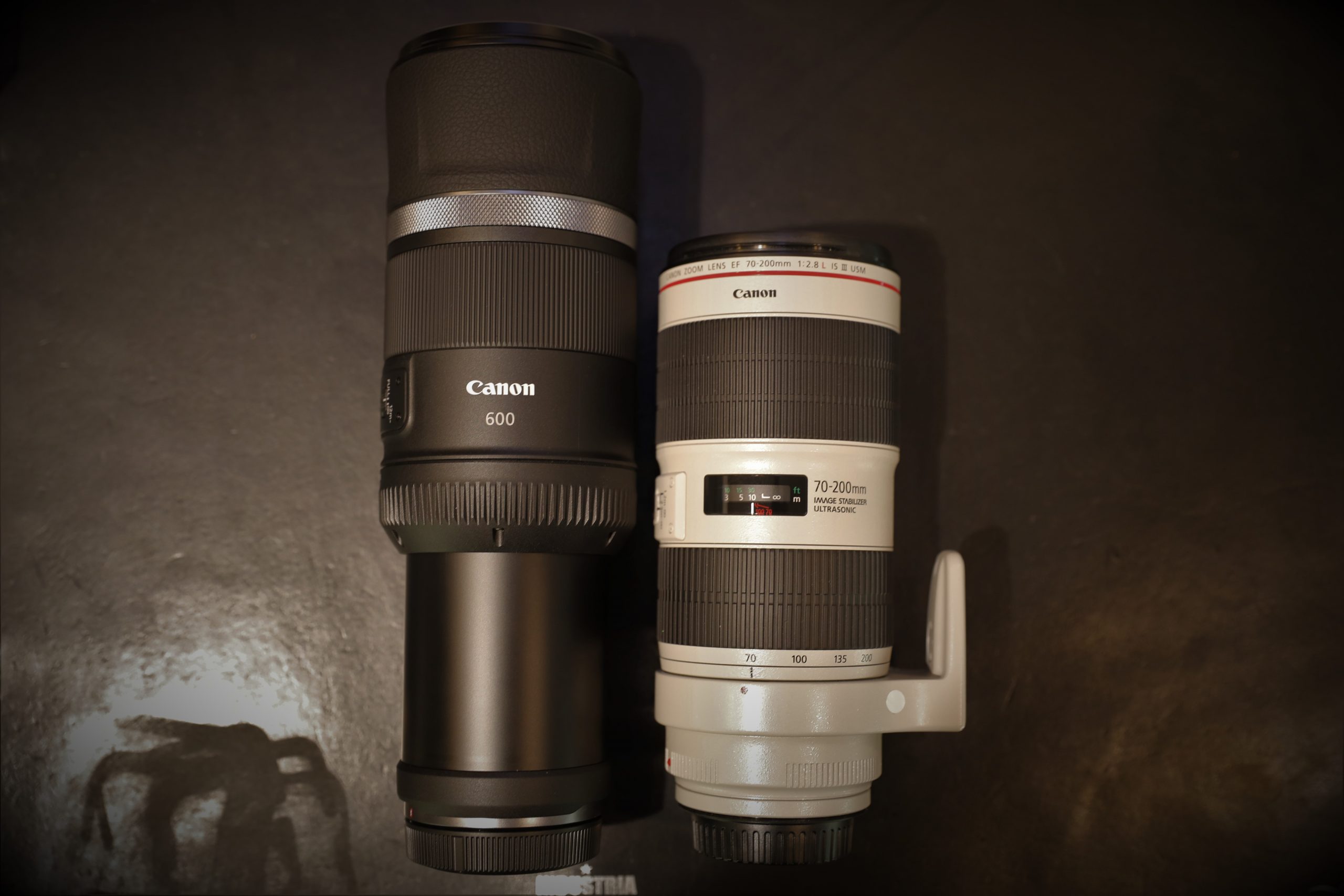Canon】R STYLE～RF600mm F11 IS STM × Motorsports photo～ | THE MAP 