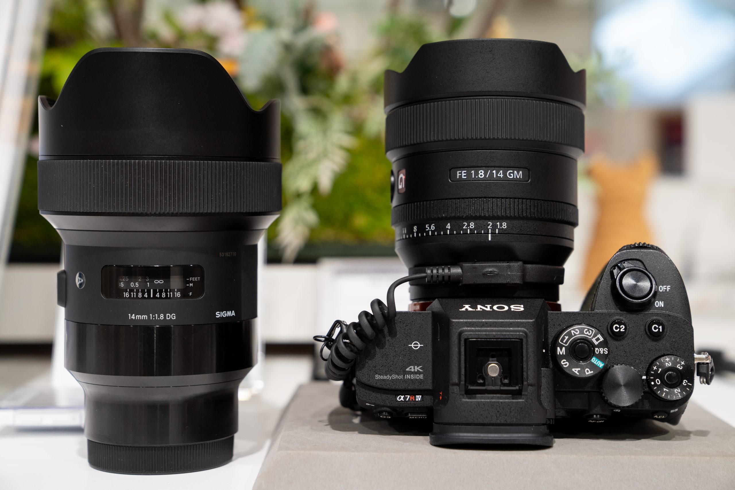 SONY】FE 14mm F1.8 GM 先行展示 体験レポート | THE MAP TIMES