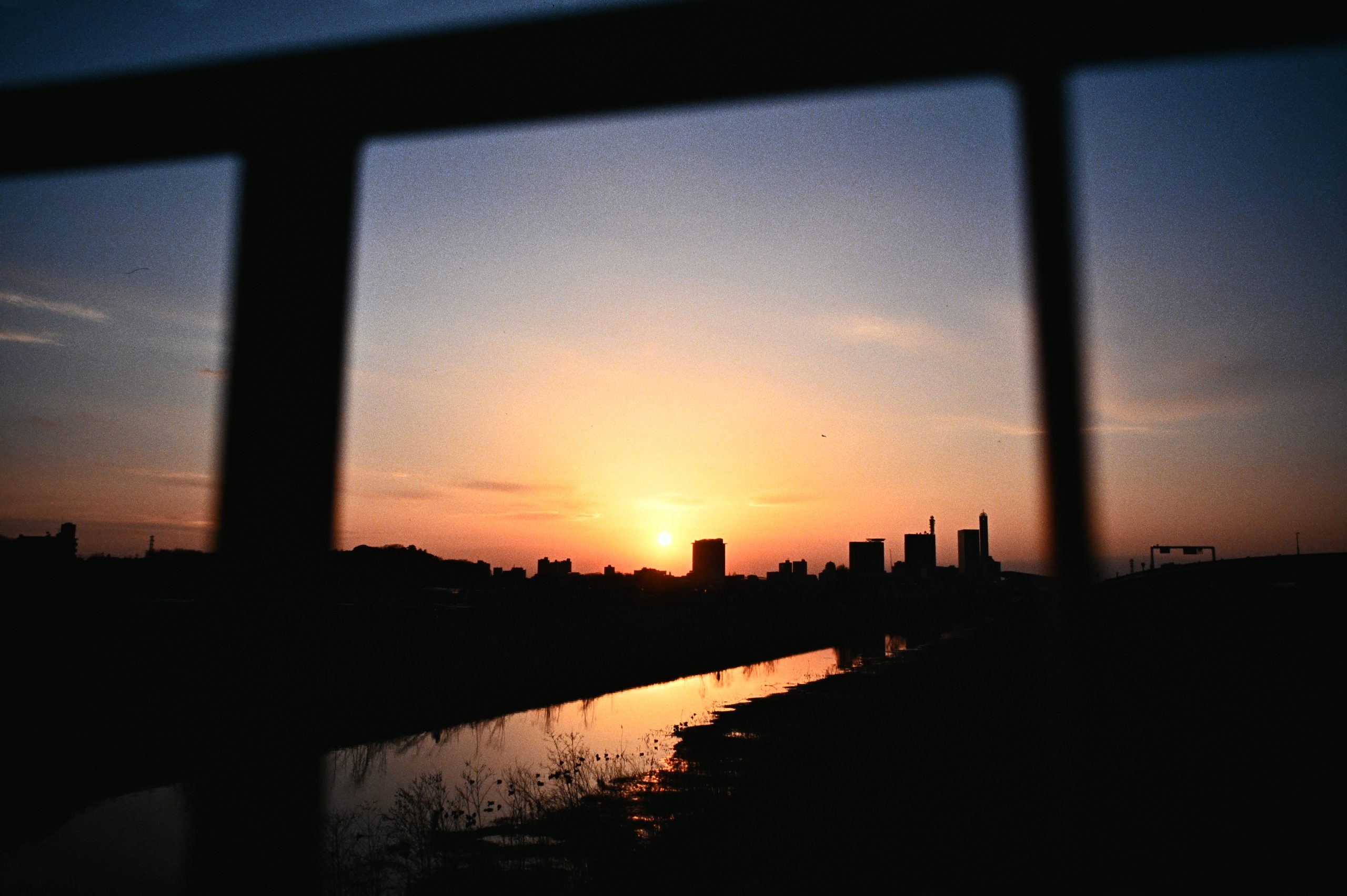 【CONTAX】じっくりS2b。