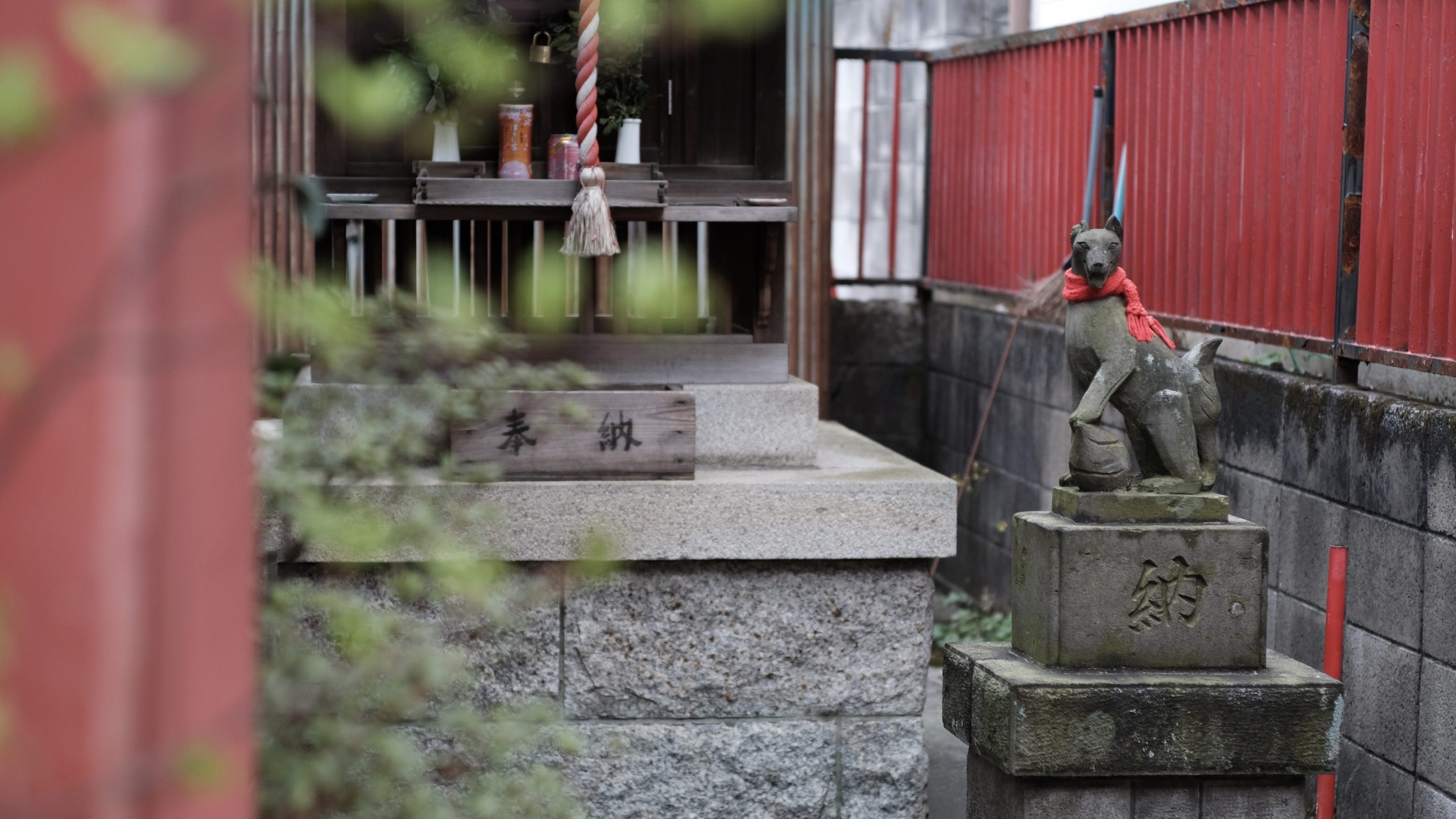 【FUJIFILM】X-E3でクラシックレンズを愉しむ~SUMMICRON M50mm F2.0~