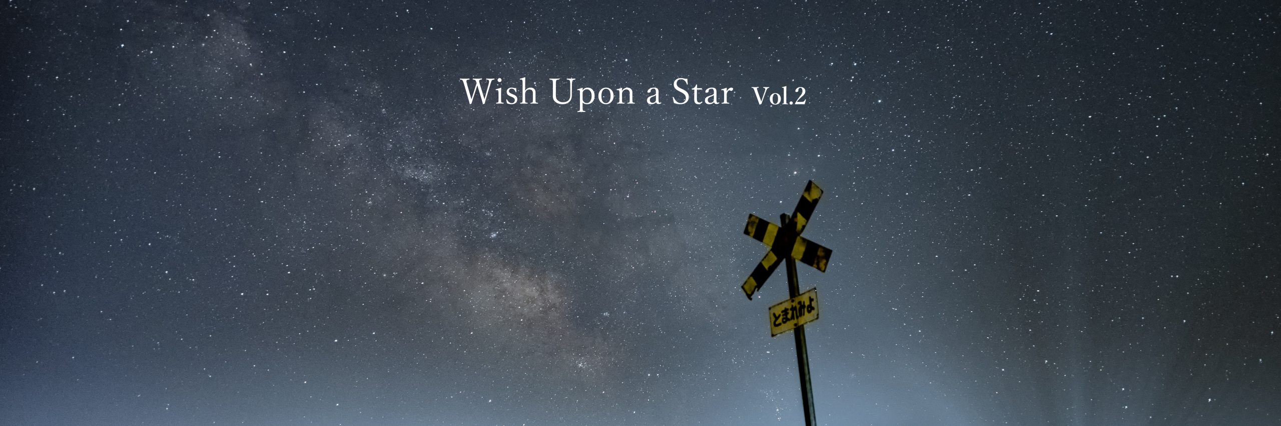 【Wish Upon a Star】Vol.2 大きなキャンパスに描く星空