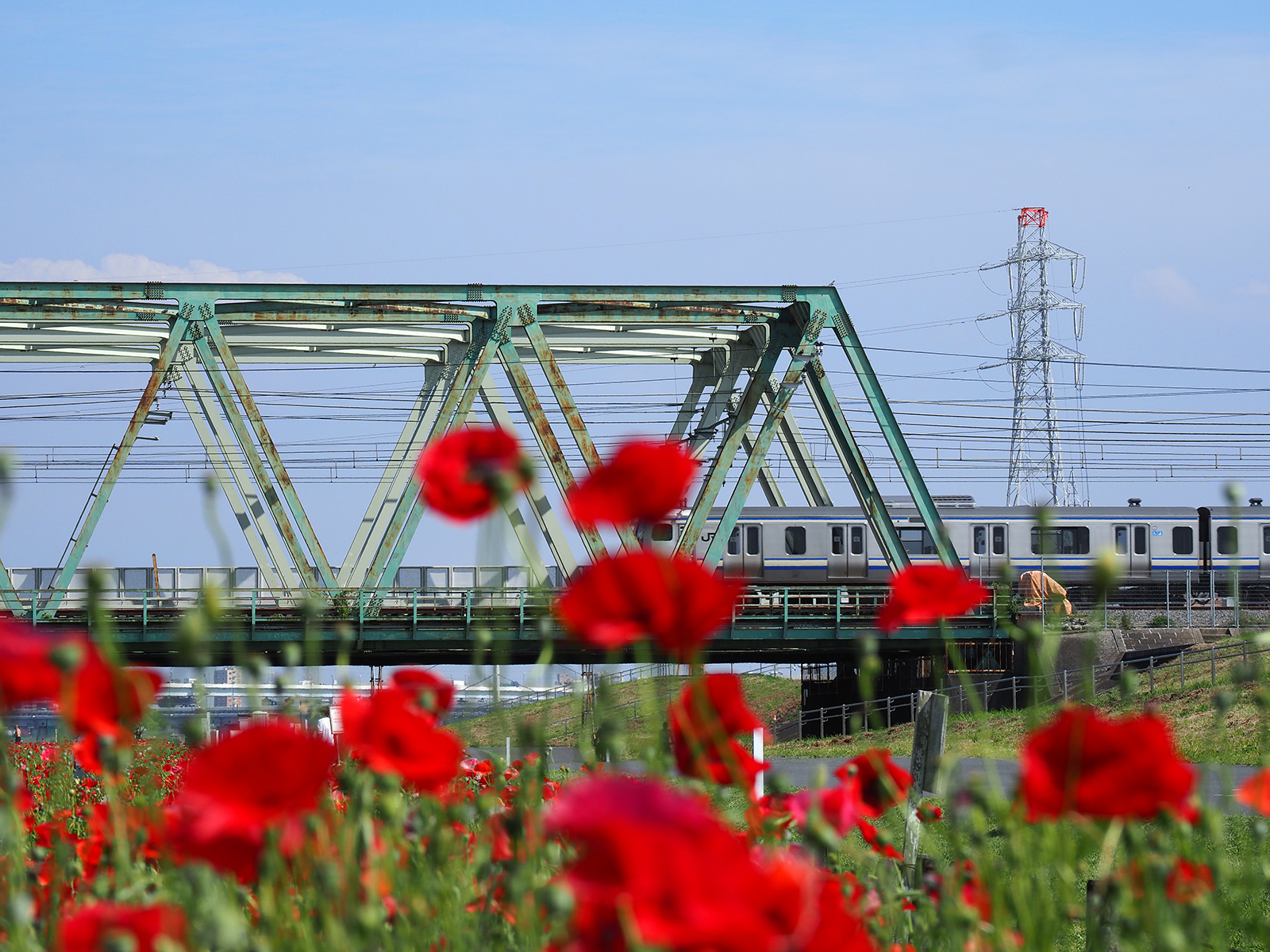 【OLYMPUS】OM-D E-M1 Mark IIで撮り歩き in 荒川河川敷