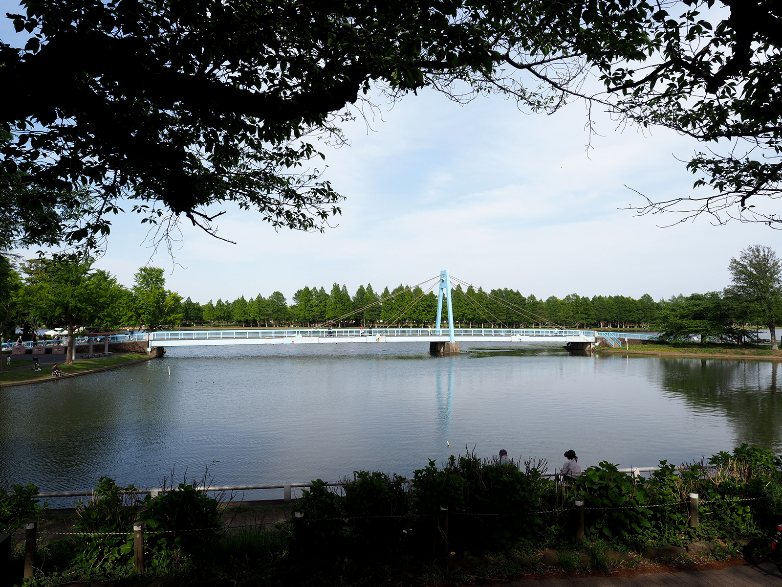 【OLYMPUS】OM-D E-M1 Mark IIで撮り歩き in 水元公園