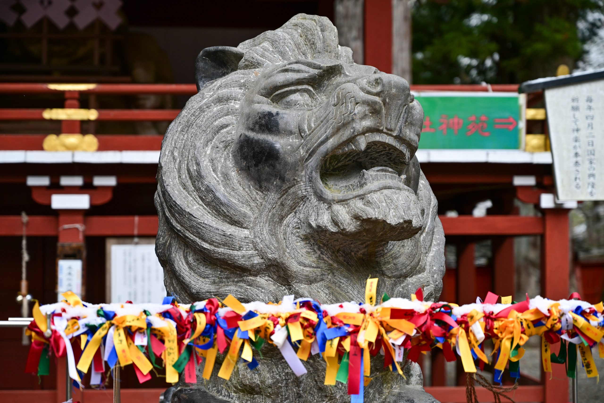 日光×Z7【Nikon】