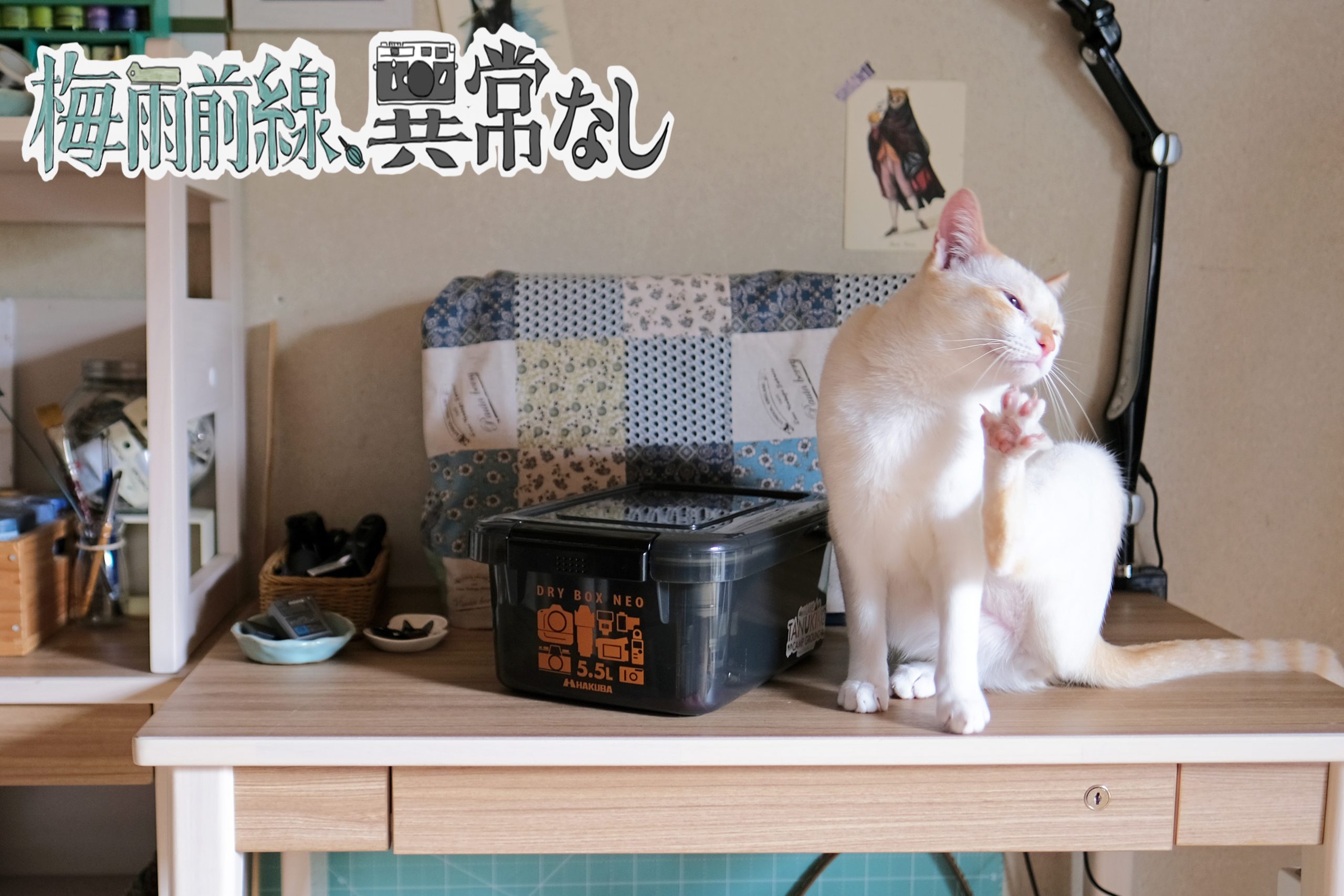 マップカメラスタッフの防湿庫大公開!vol.8