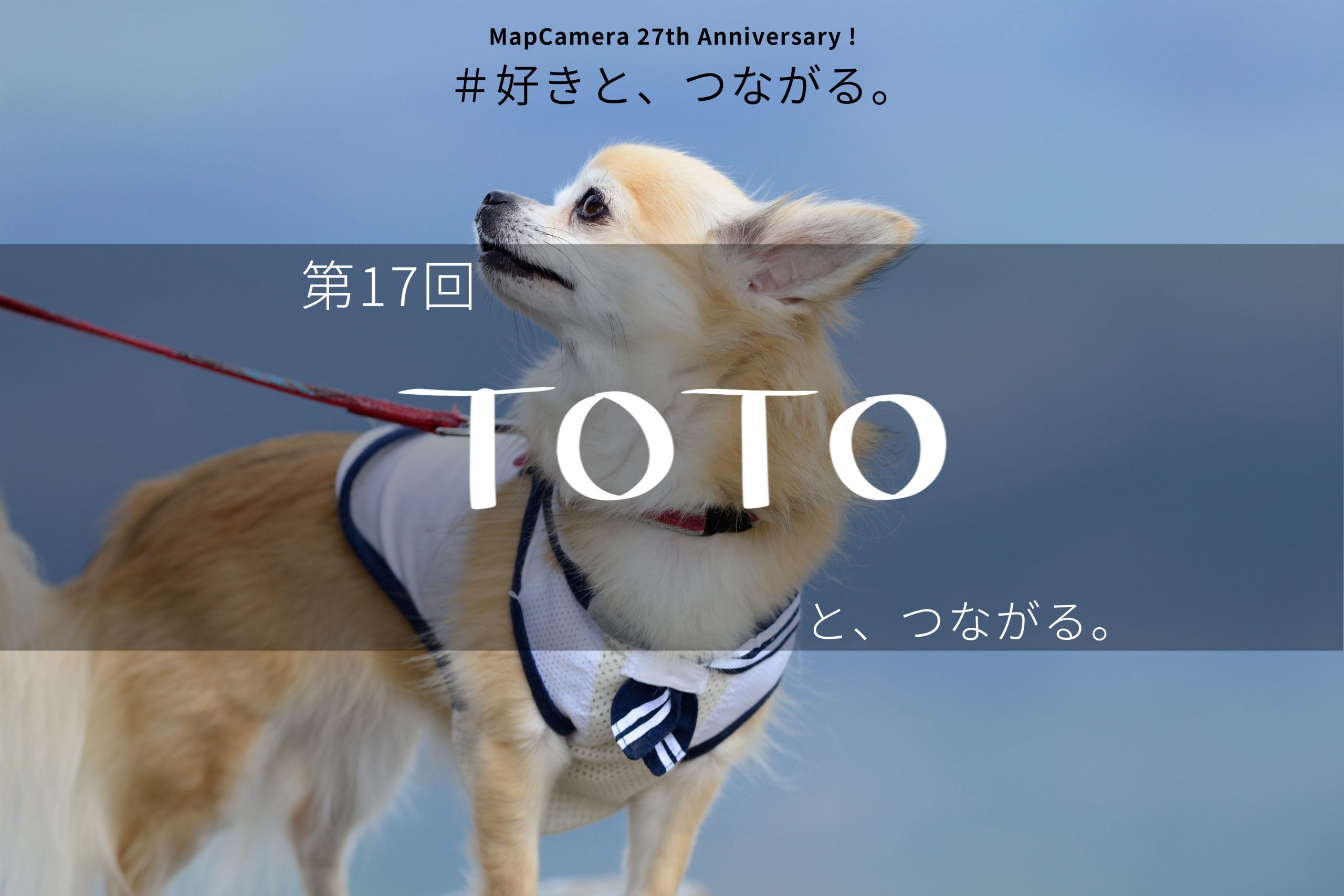 TOTOと、つながる