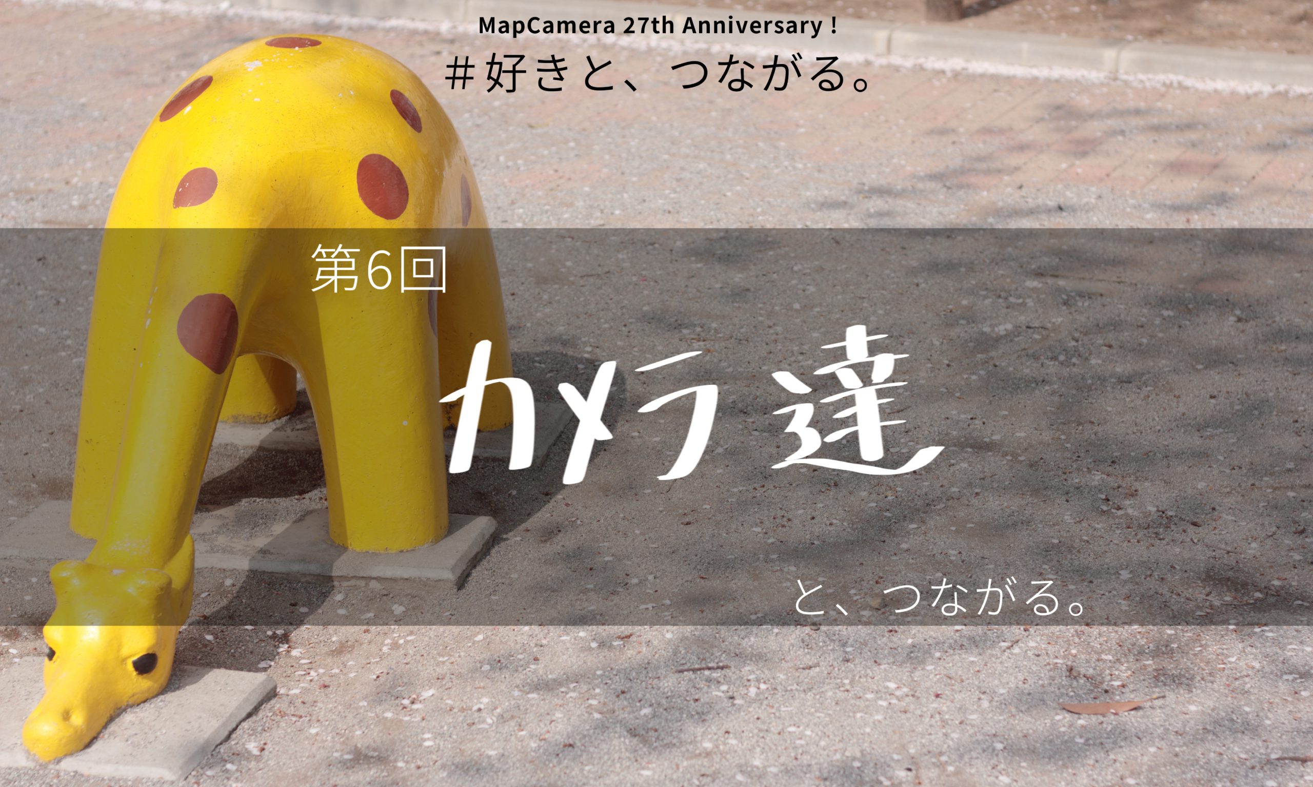 カメラ達と、つながる