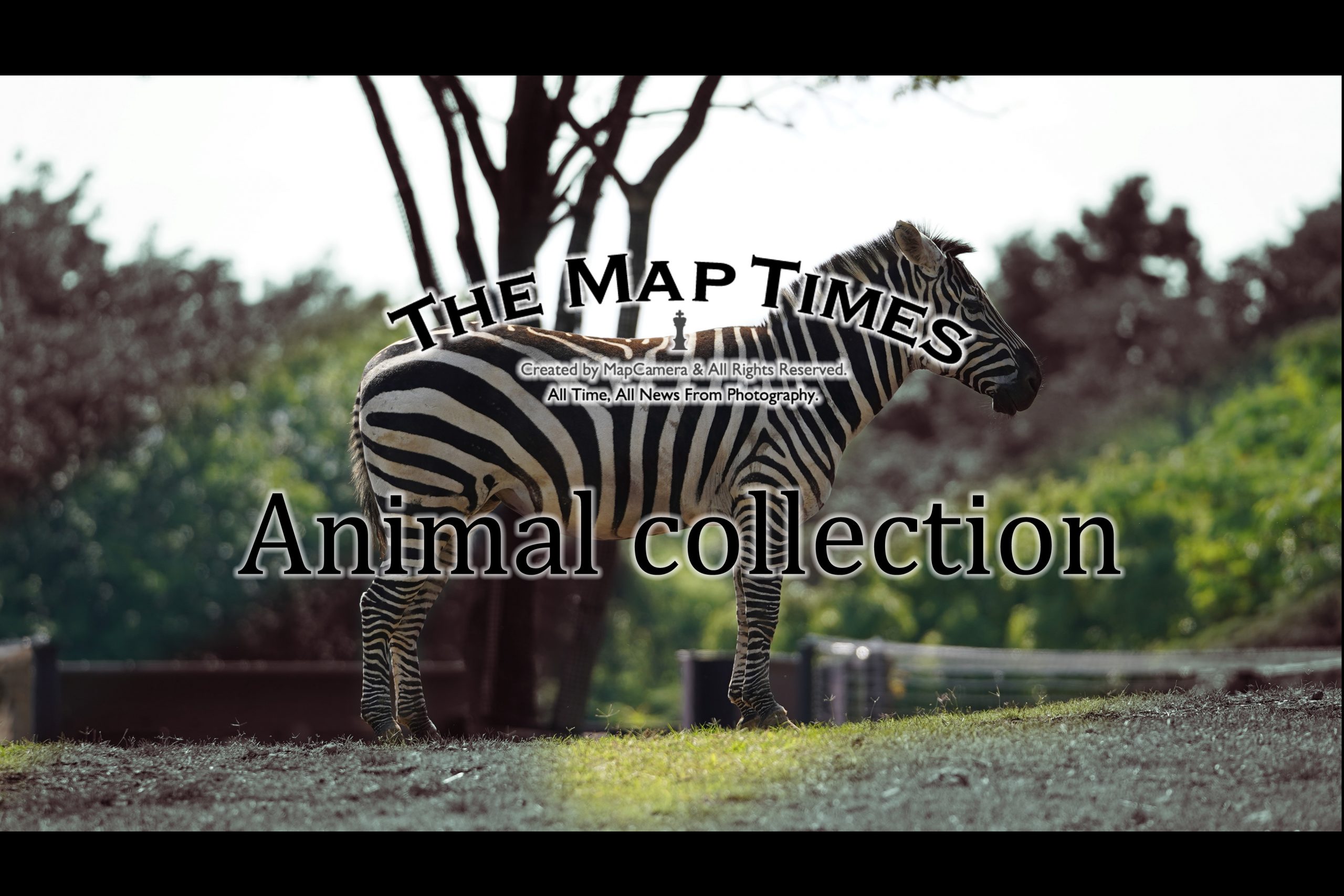 【Adobe】アニコレ~Animal collection~Part6