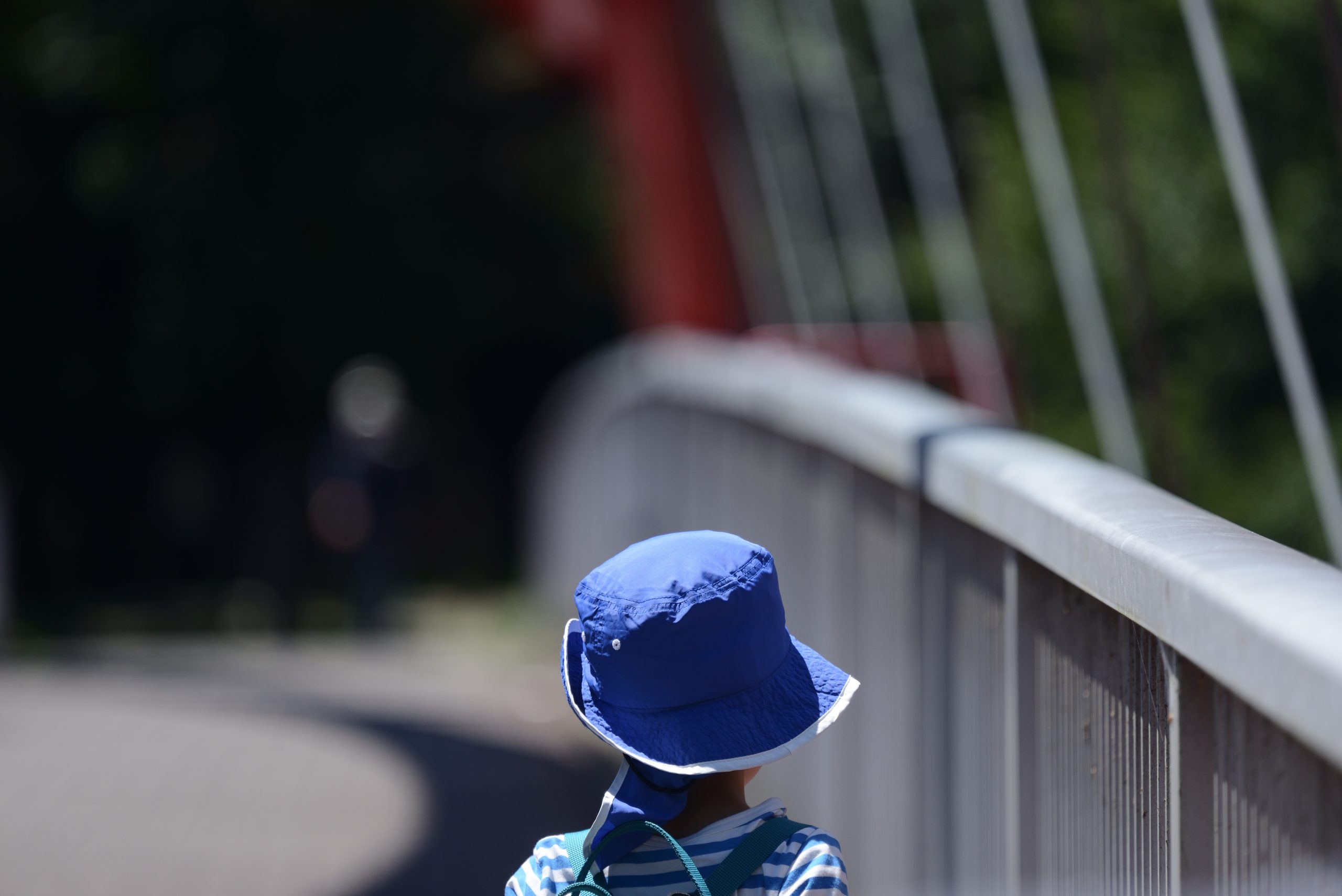 【Nikon】望遠レンズ~夏のスナップ