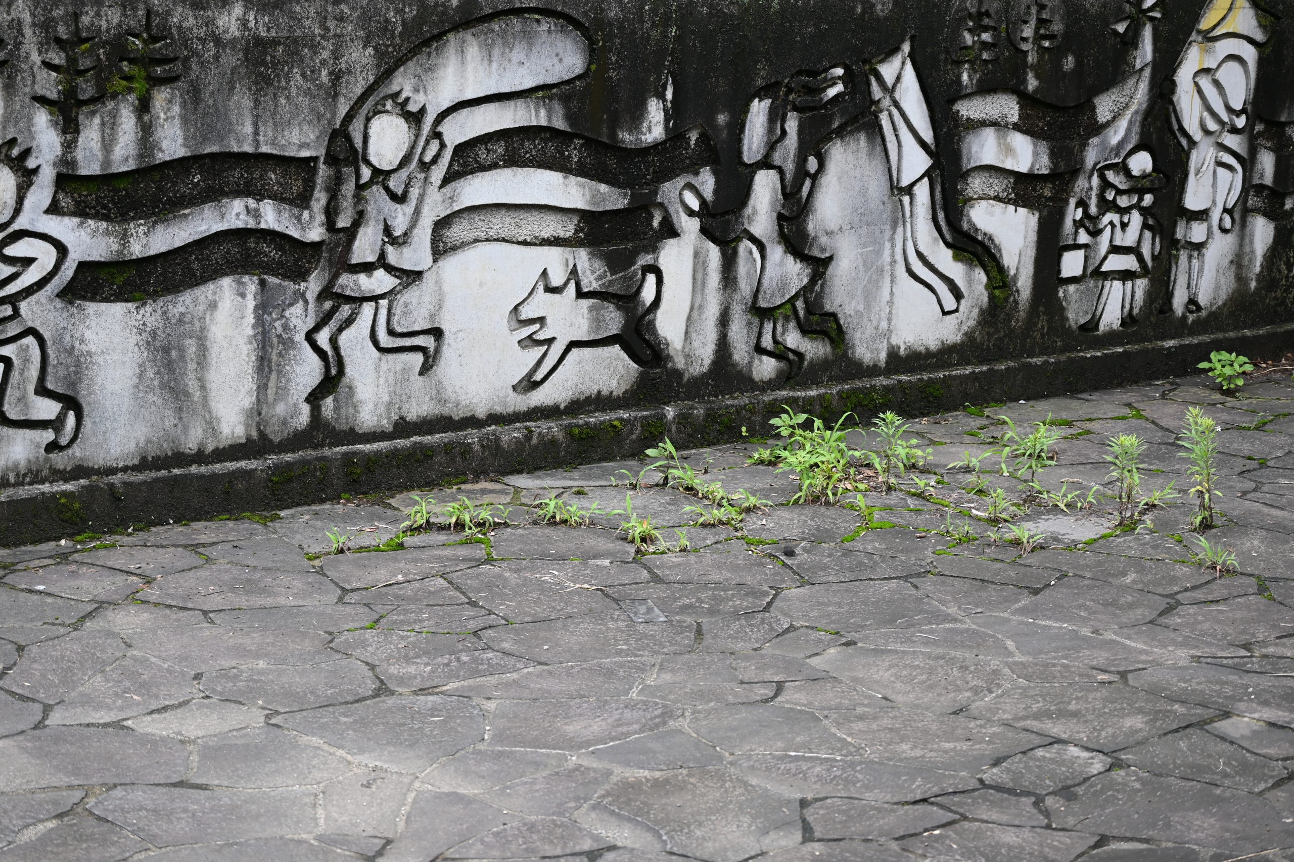 【Nikon】Z50と雨上がりの散歩をした日のこと