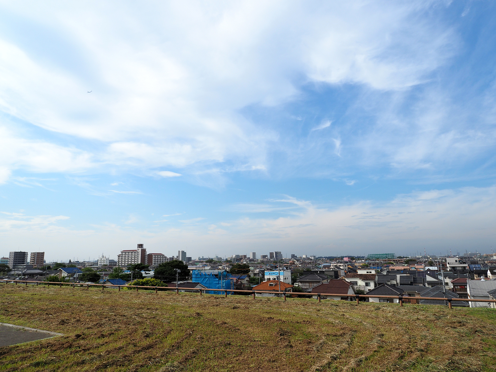 【OLYMPUS】OM-D E-M1 Mark IIで撮り歩き in 舎人公園