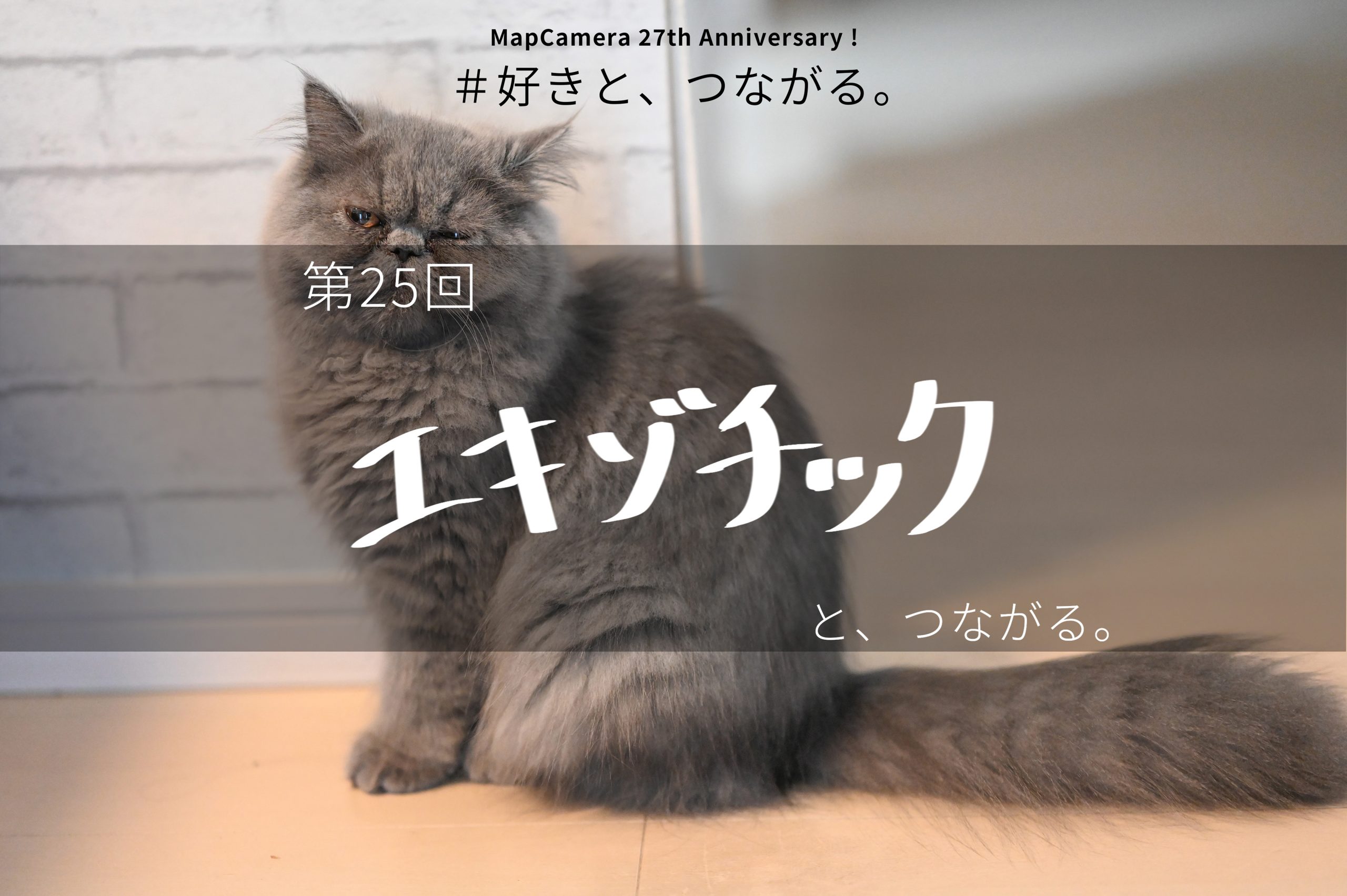 エキゾチックと つながる The Map Times