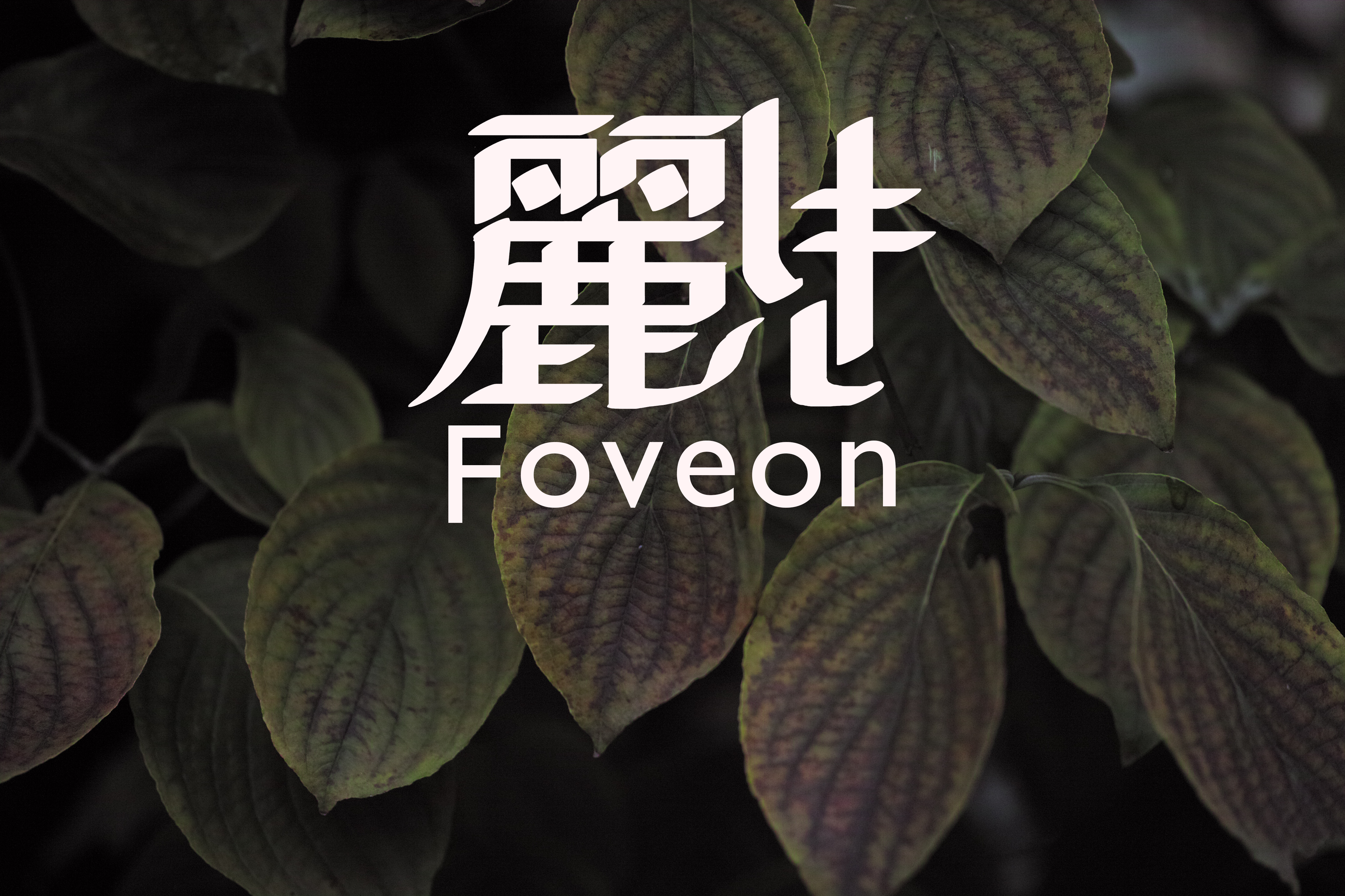 【SIGMA】麗しきFoveon