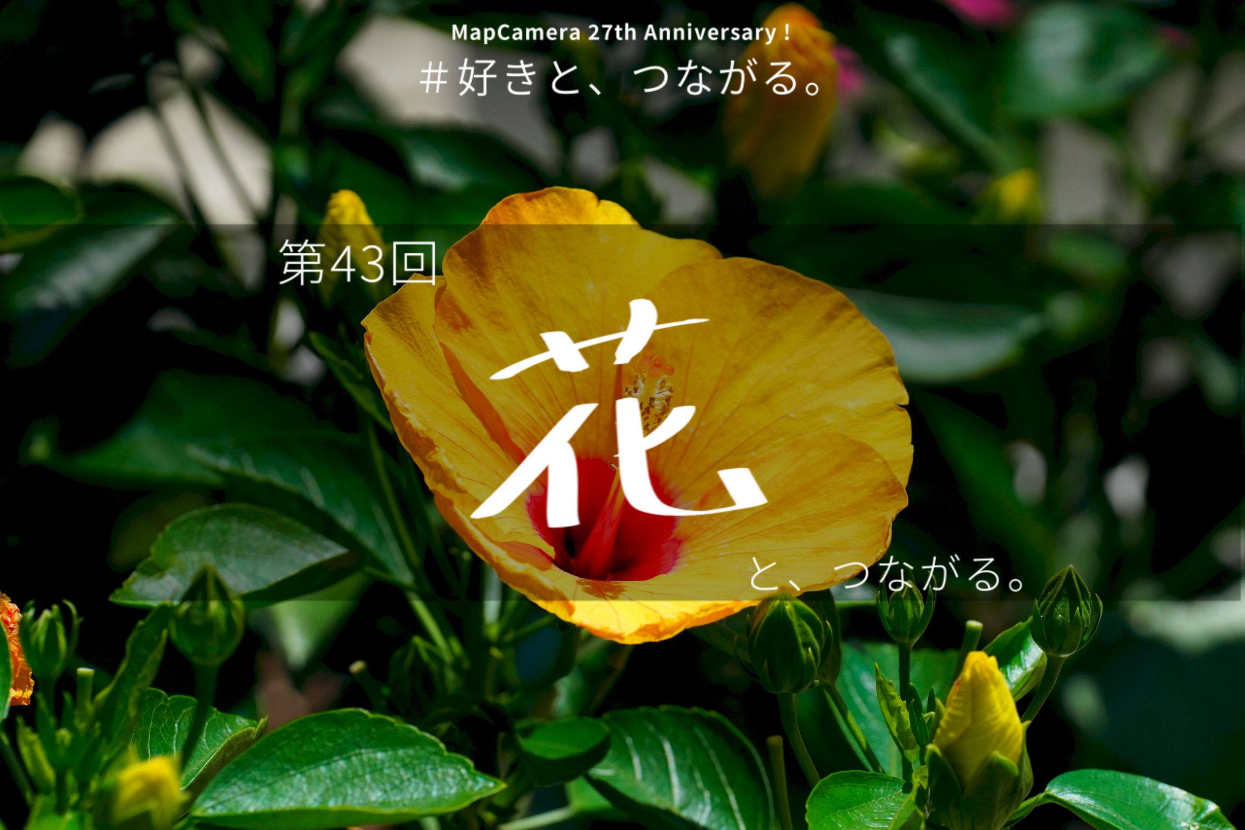 花と、つながる