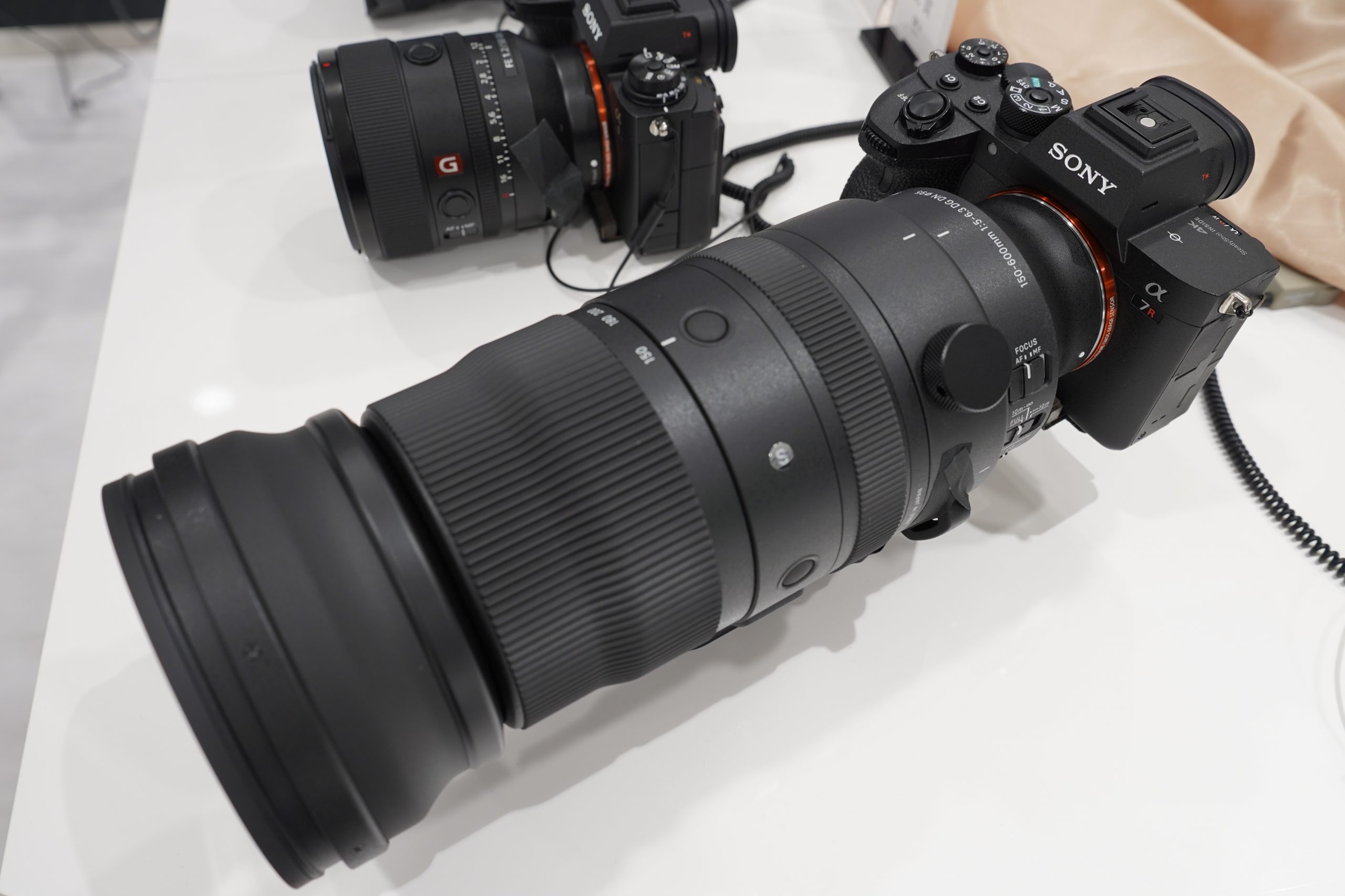 SIGMA】本日発売！ Sports 150-600mm F5-6.3 DG DN ファーストインプレッション【作例あり】 | THE MAP  TIMES