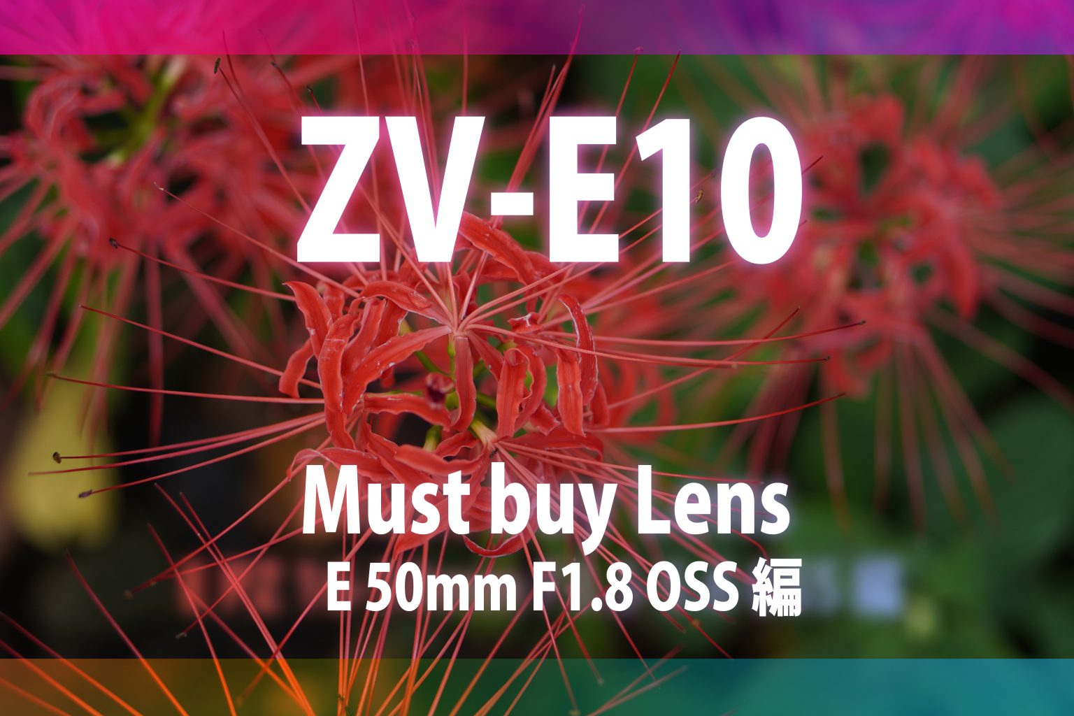 【ZV-E10発売記念】マスト・バイ・レンズ～ E 50mm F1.8 OSS 編～