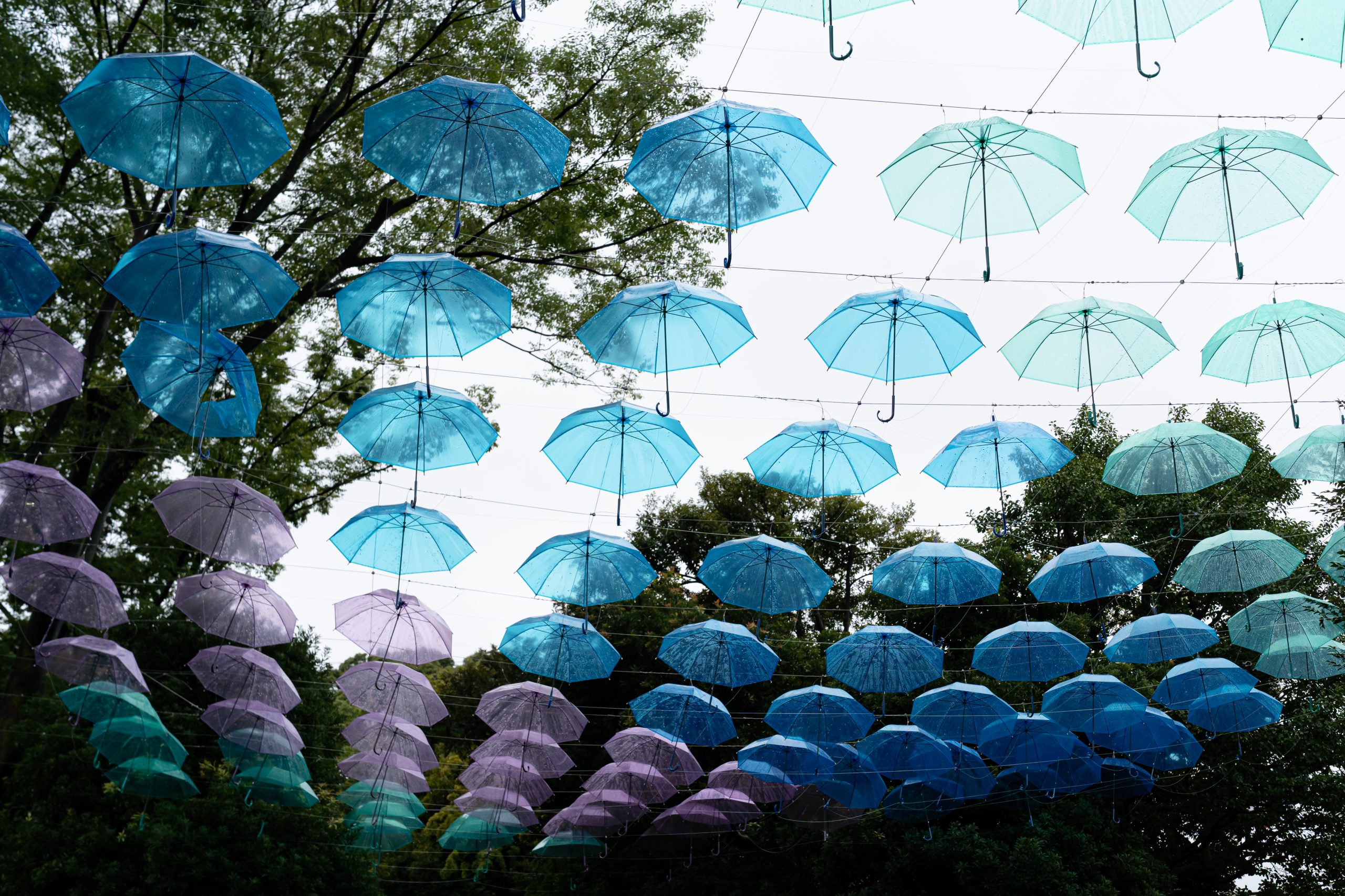 【SONY】夏の終わりの雨の日散歩