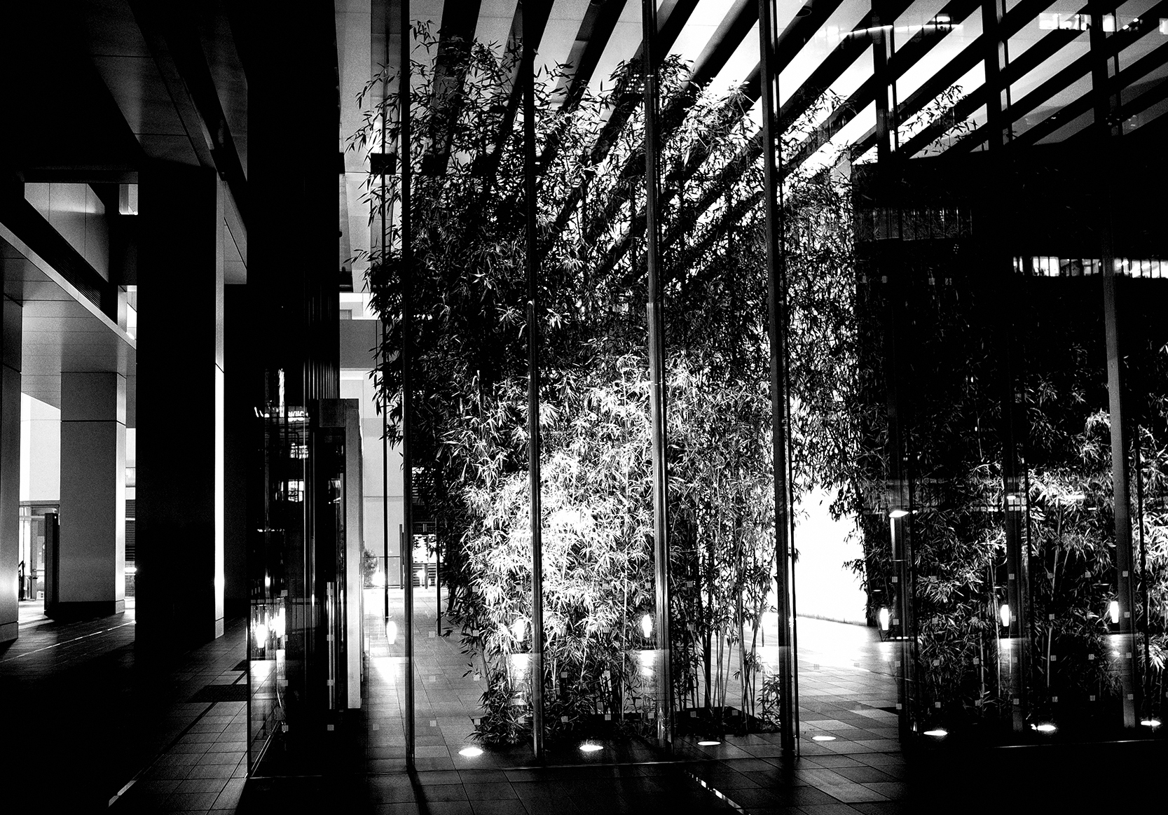 【RICOH】GR IIIで「ハイコントラスト白黒」な都内の夜を散策