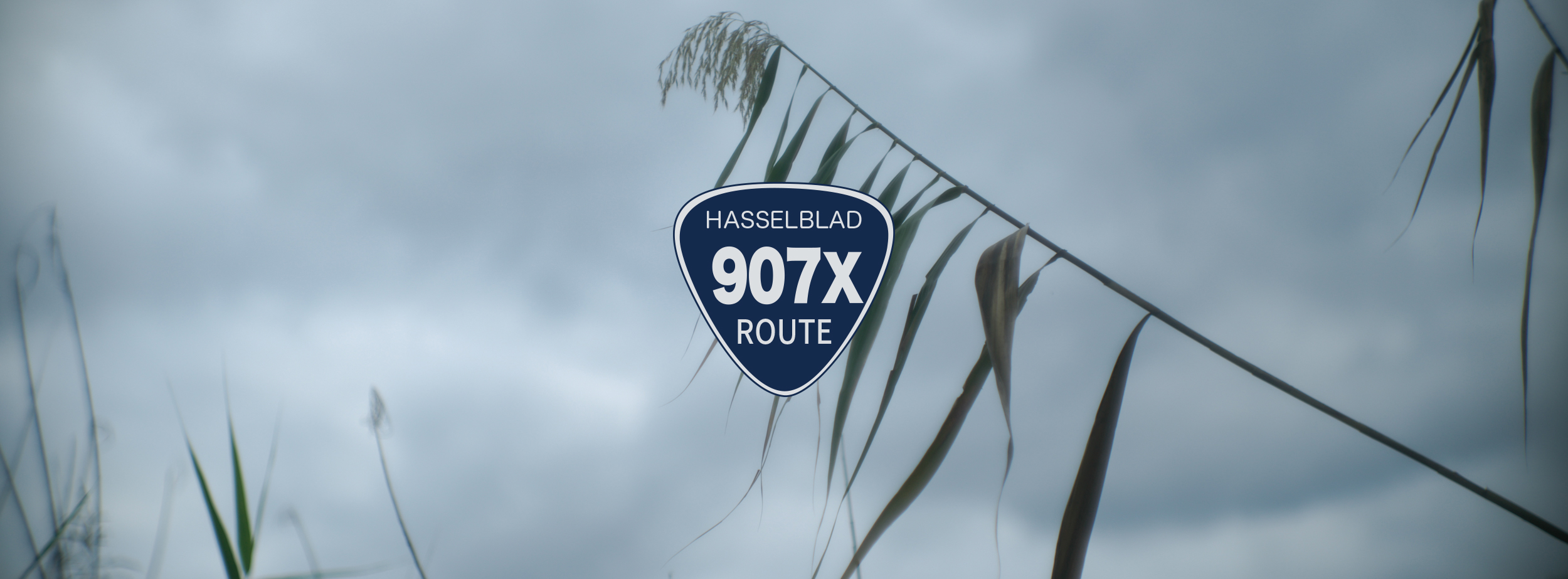 【HASSELBLAD】907の通り道