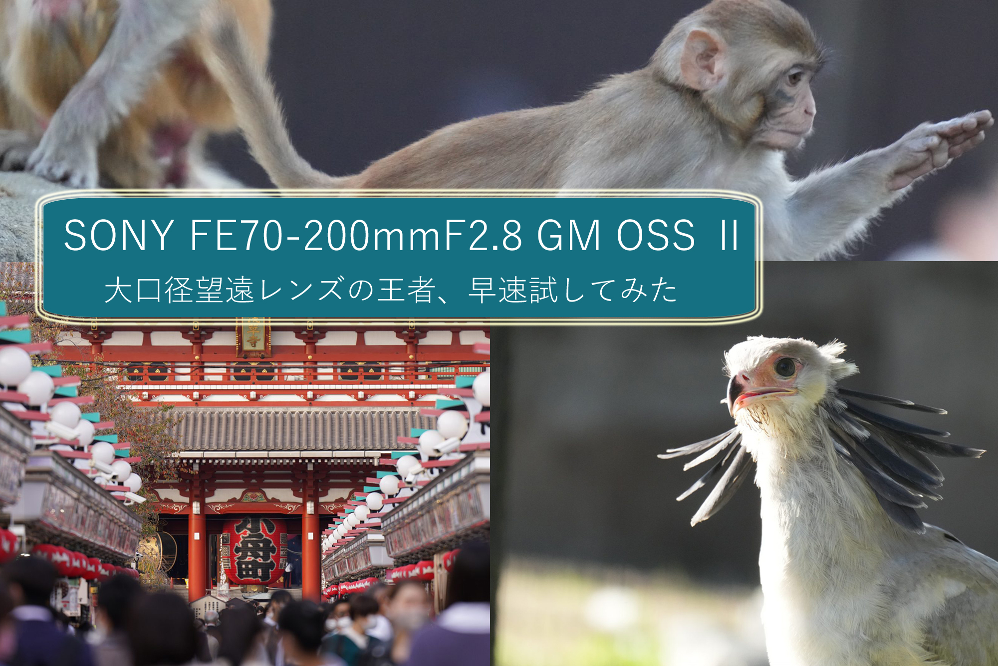 SONY】大口径望遠レンズの王者 FE 70-200mm F2.8 GM OSS IIを早速試し 