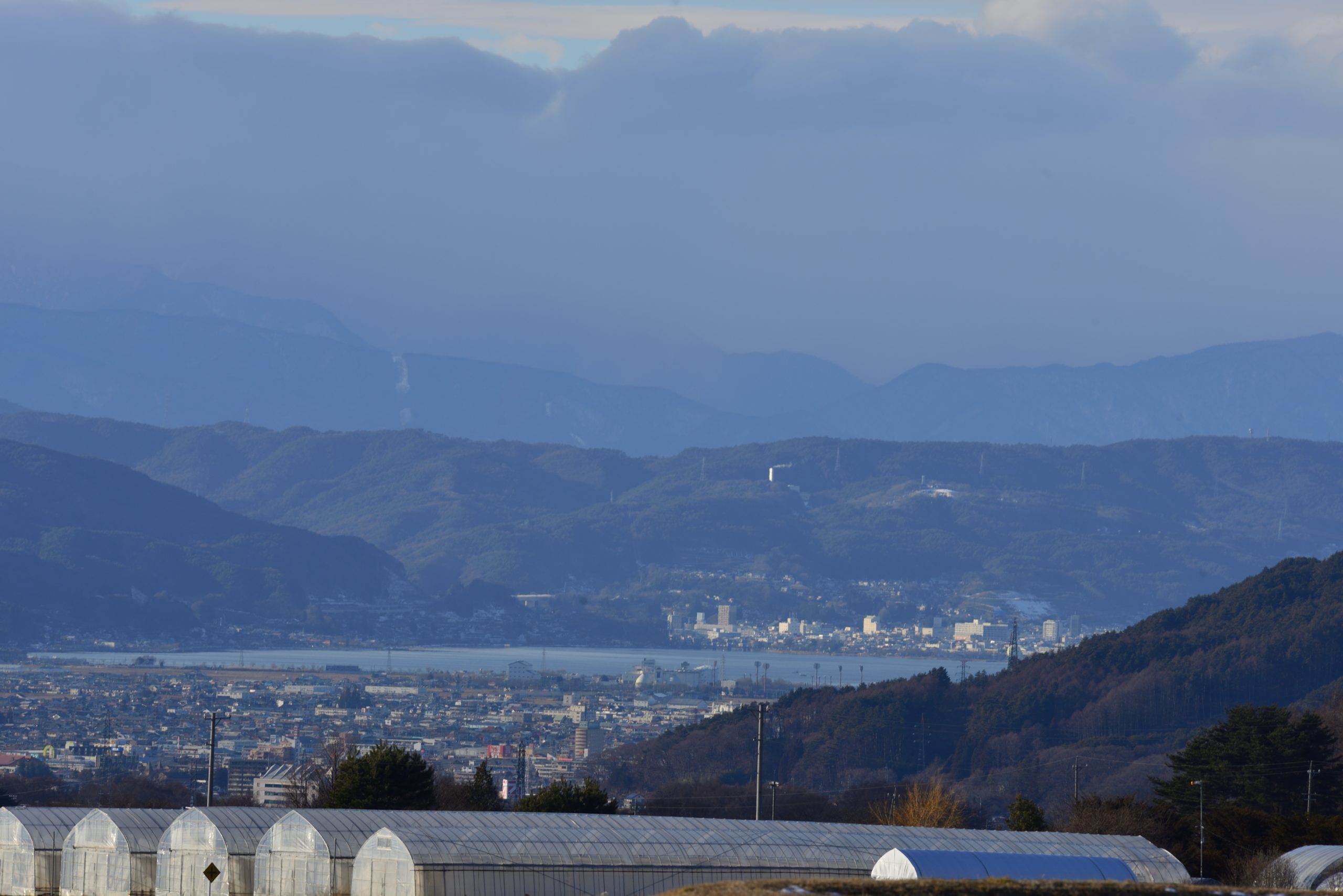 【Nikon】今年も望遠レンズを持って歩きます。