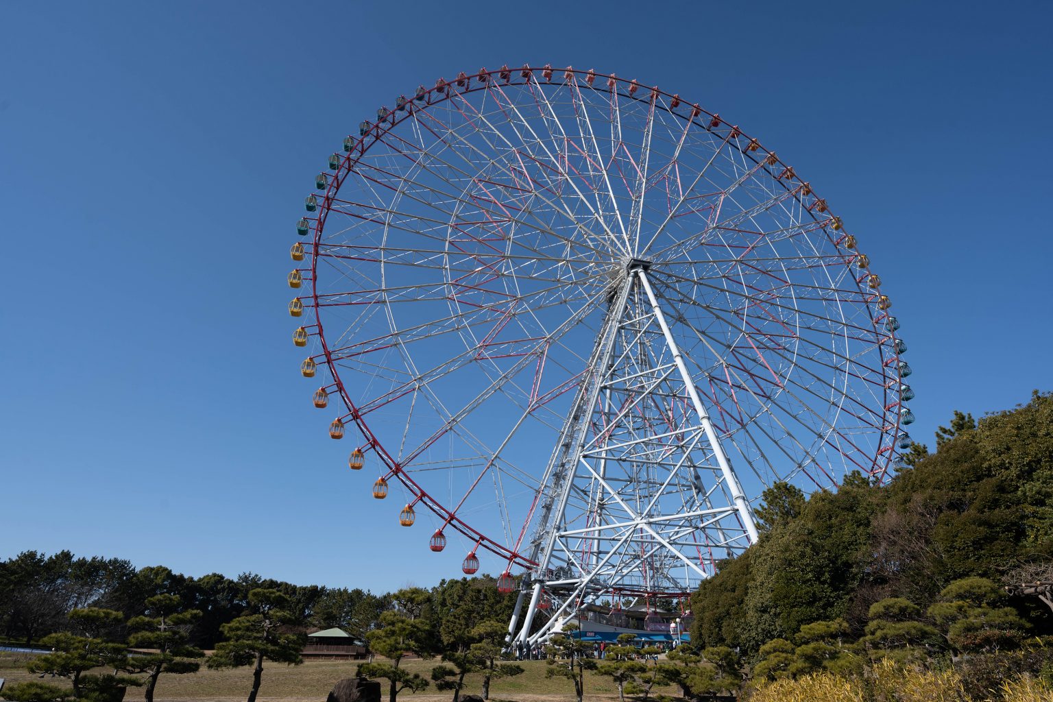 【Nikon】Zレンズで近接撮影を楽しむ