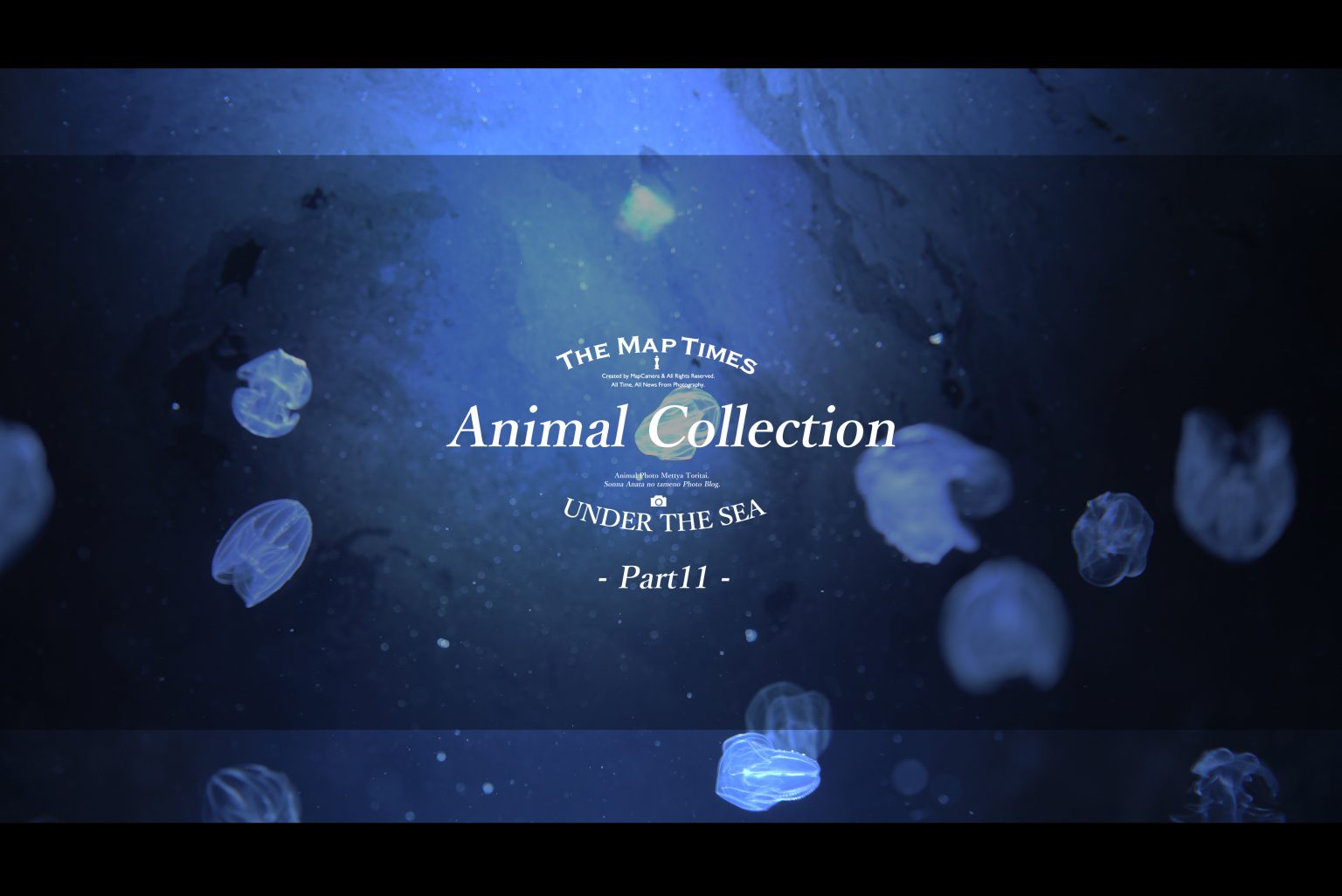 【SONY】アニコレ～Animal collection～Part11