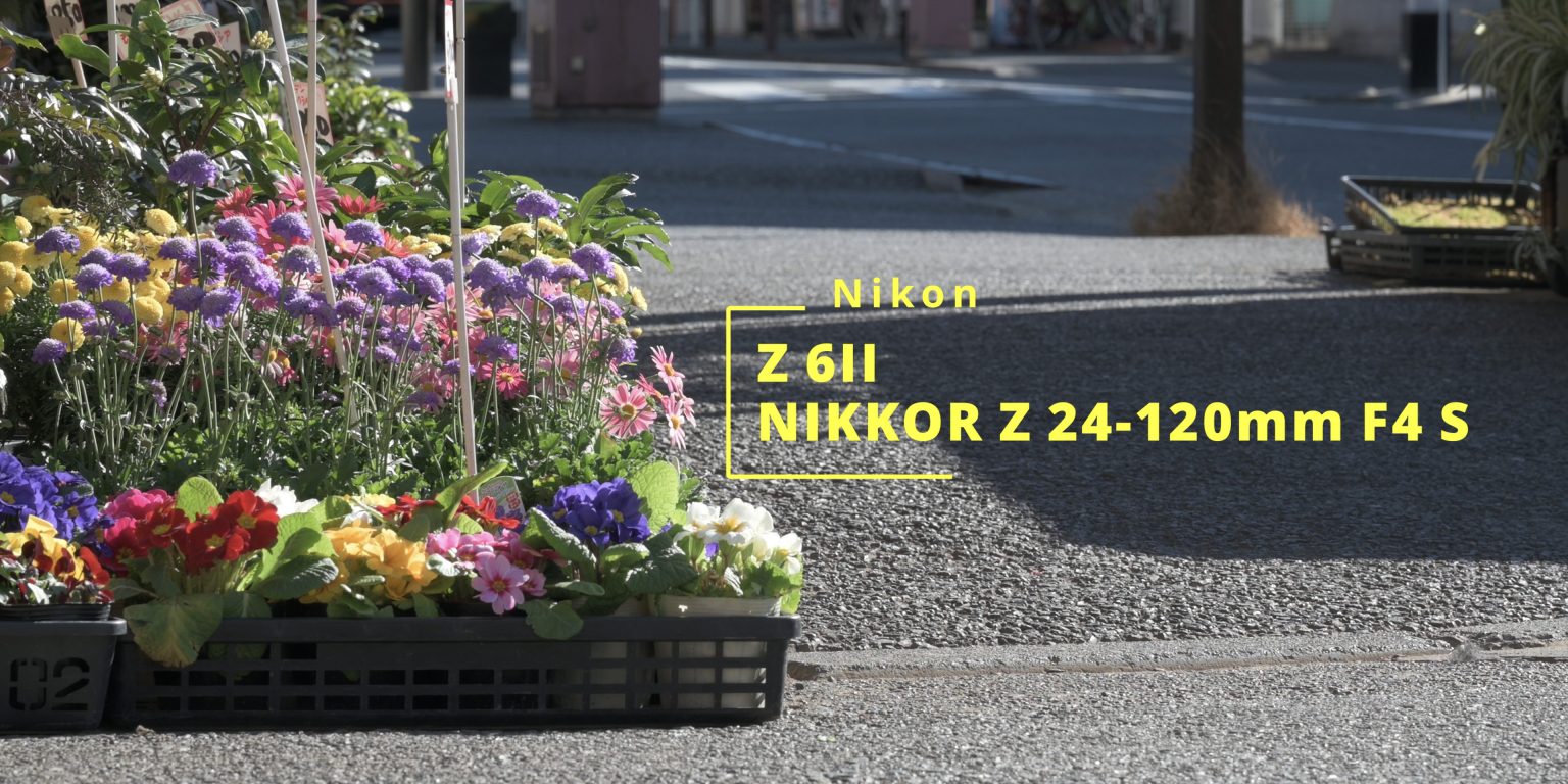 【Nikon】NIKKOR Z 24-120mm F4 Sとお散歩