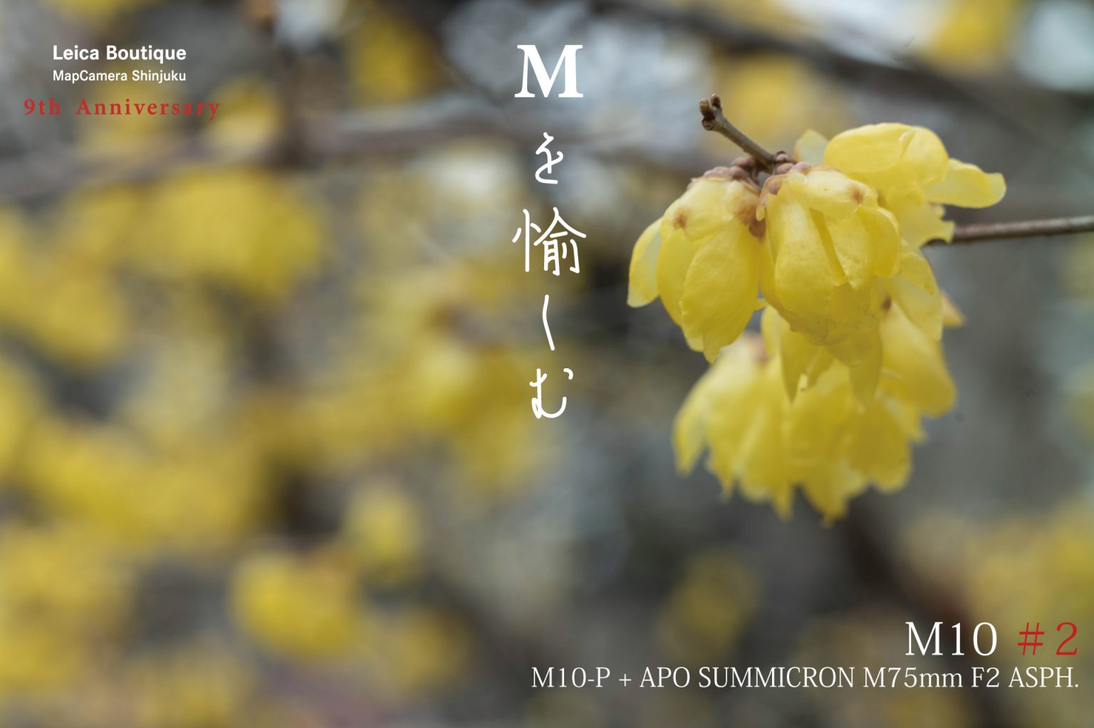 【Leica】Mを愉しむ ～M10シリーズを愉しむ～#2 M10-P +APO-SUMMICRON M75mm F2.0 ASPH.