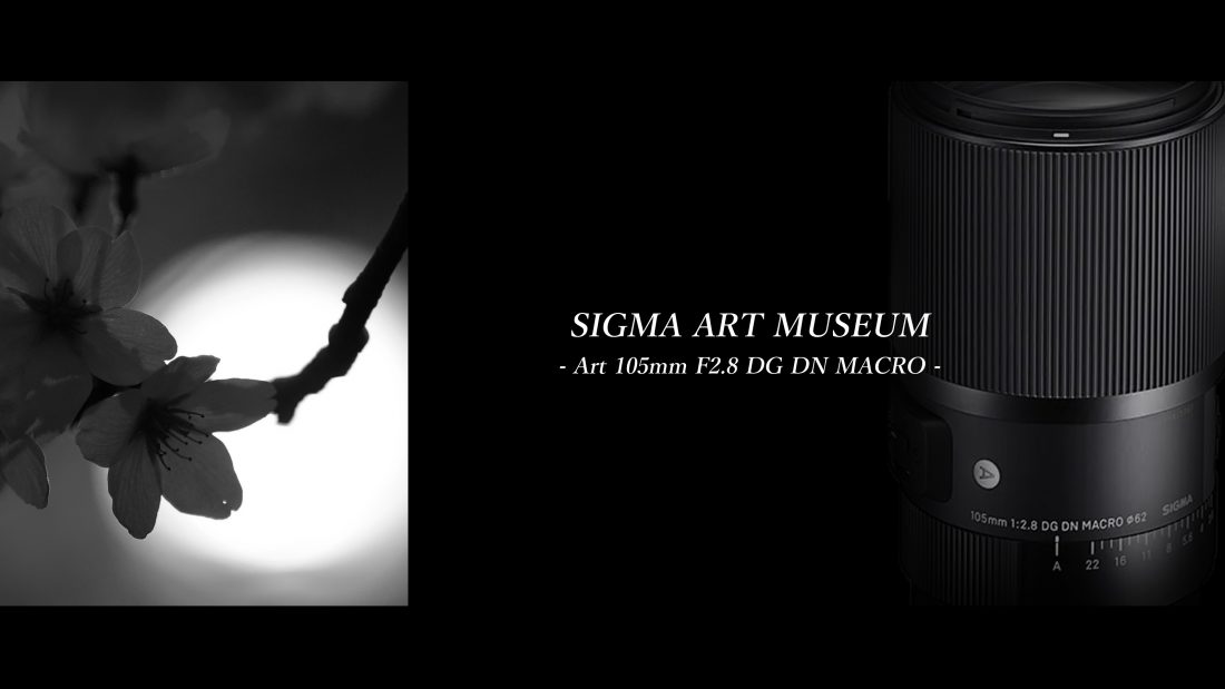 カメラ レンズ(単焦点) SIGMA】ART MUSEUM‐Art 105mm F2.8 DG DN MACRO- | THE MAP TIMES