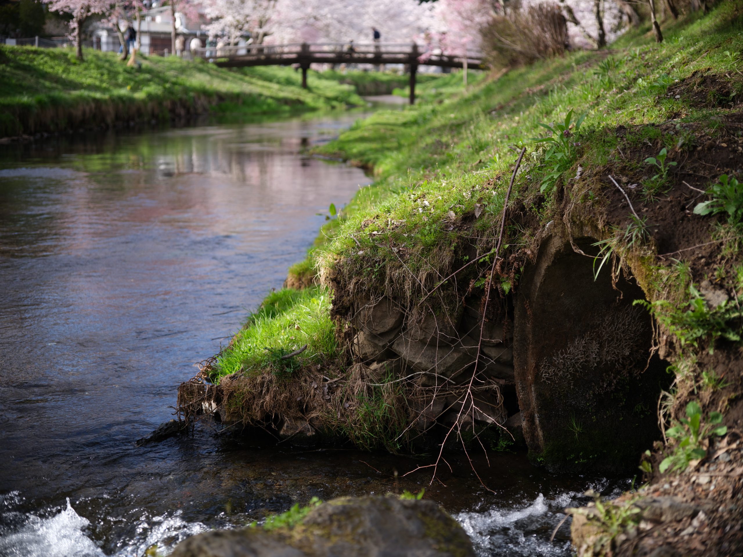 FUJIFILM】いちおくさんぽ S-Planar 60mm | THE MAP TIMES FUJIFILM】いちおくさんぽ S-Planar 60mm | THE MAP TIMES