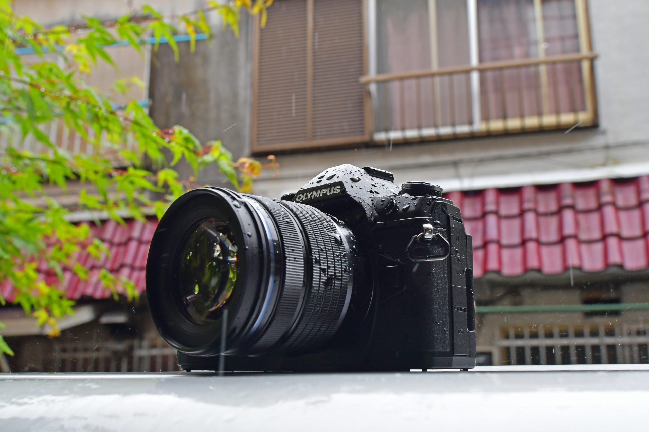 OLYMPUS】雨も滴るオリンパス ～OM-D E-M1 Mark IIはマストバイな