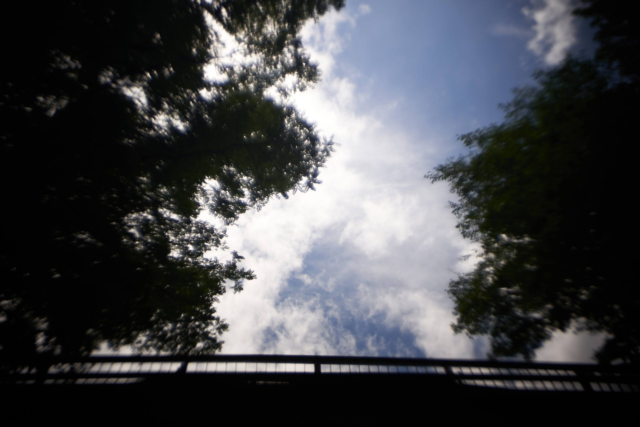 HUGO MEYER KINO PLASMAT 25mm f1.5専用フード HUGO MEYER KINO PLASMAT 25mm f1.5専用フード