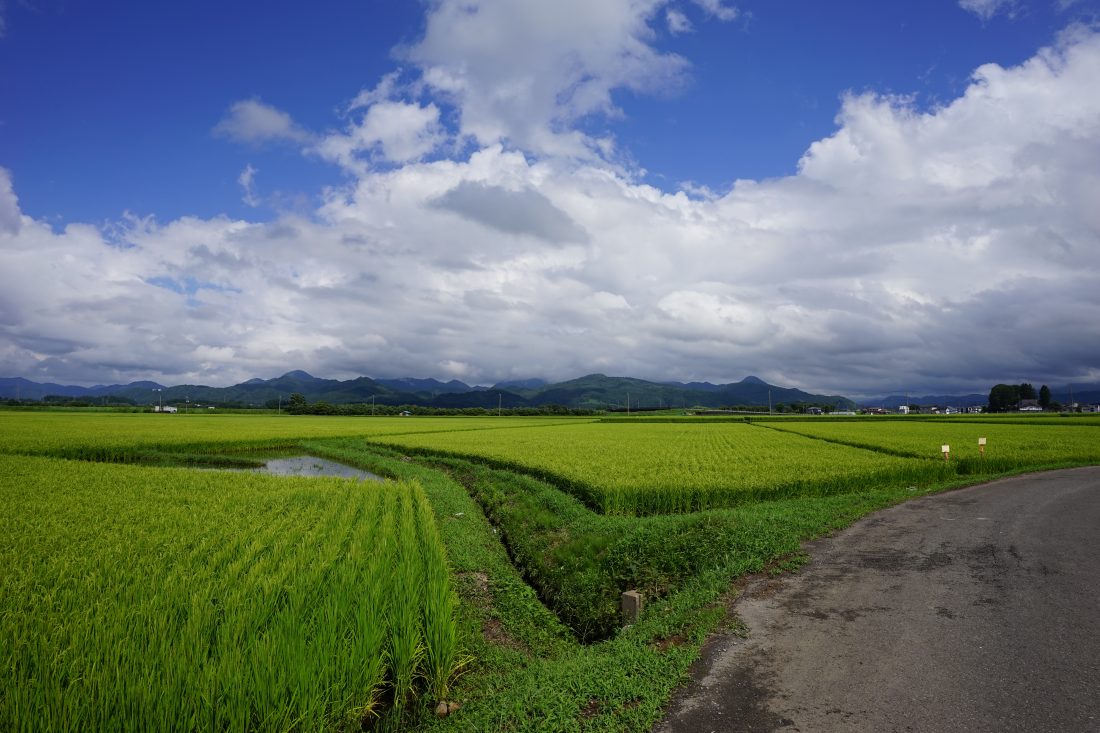 TAMRON】20mm F2.8 DiIII OSD M1:2と夏の秋田 | THE MAP TIMES