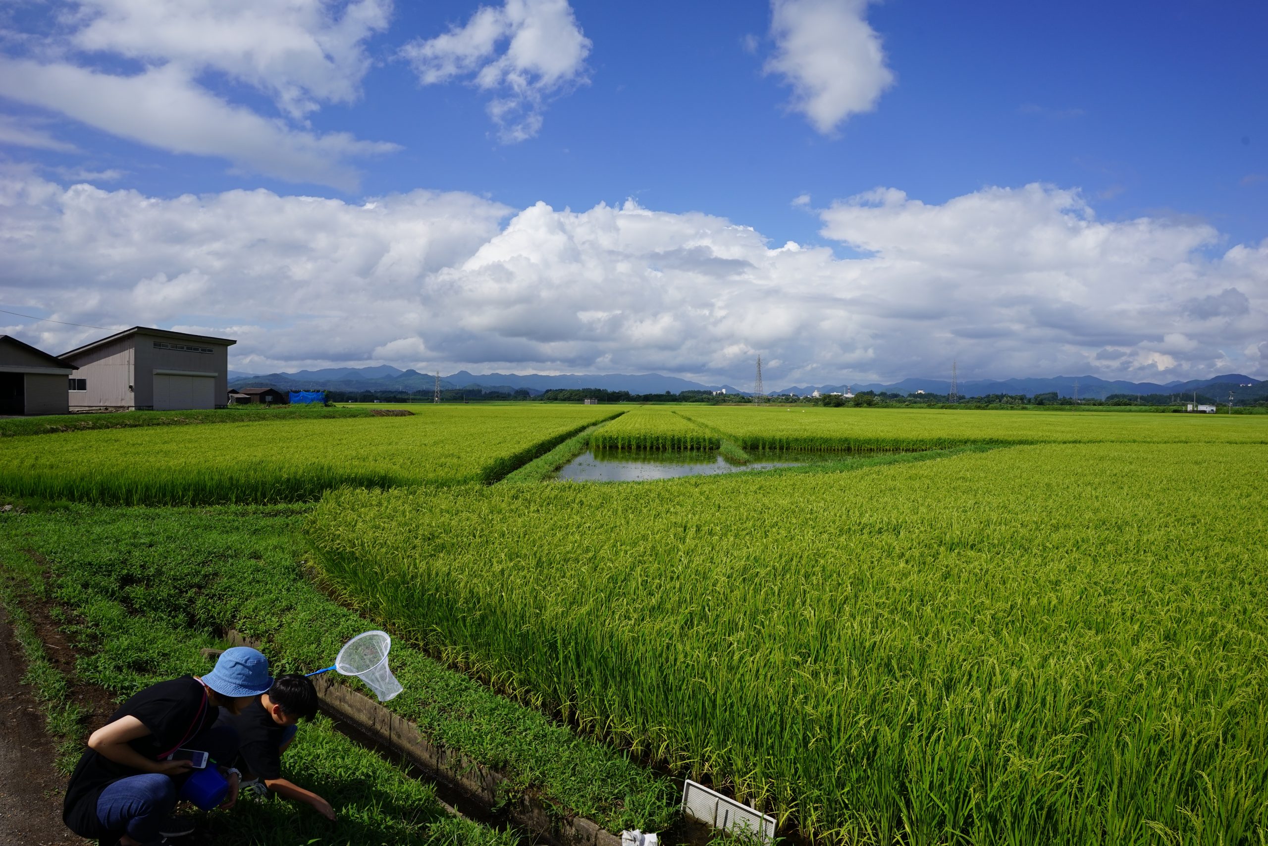 【TAMRON】20mm F2.8 DiIII OSD M1:2と夏の秋田 | THE MAP TIMES