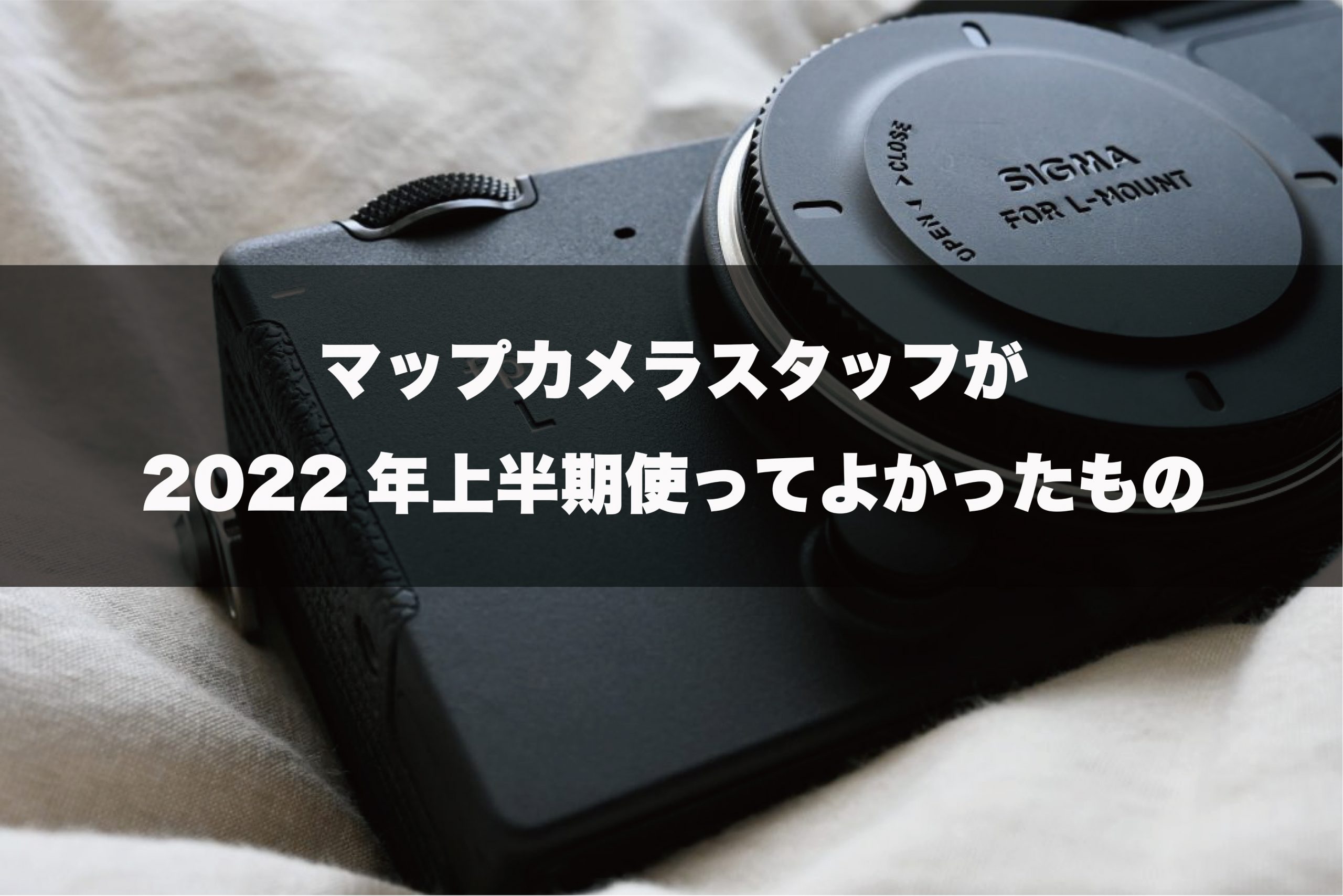 【2022年上半期使ってよかったもの】高画素のミラーレスカメラ