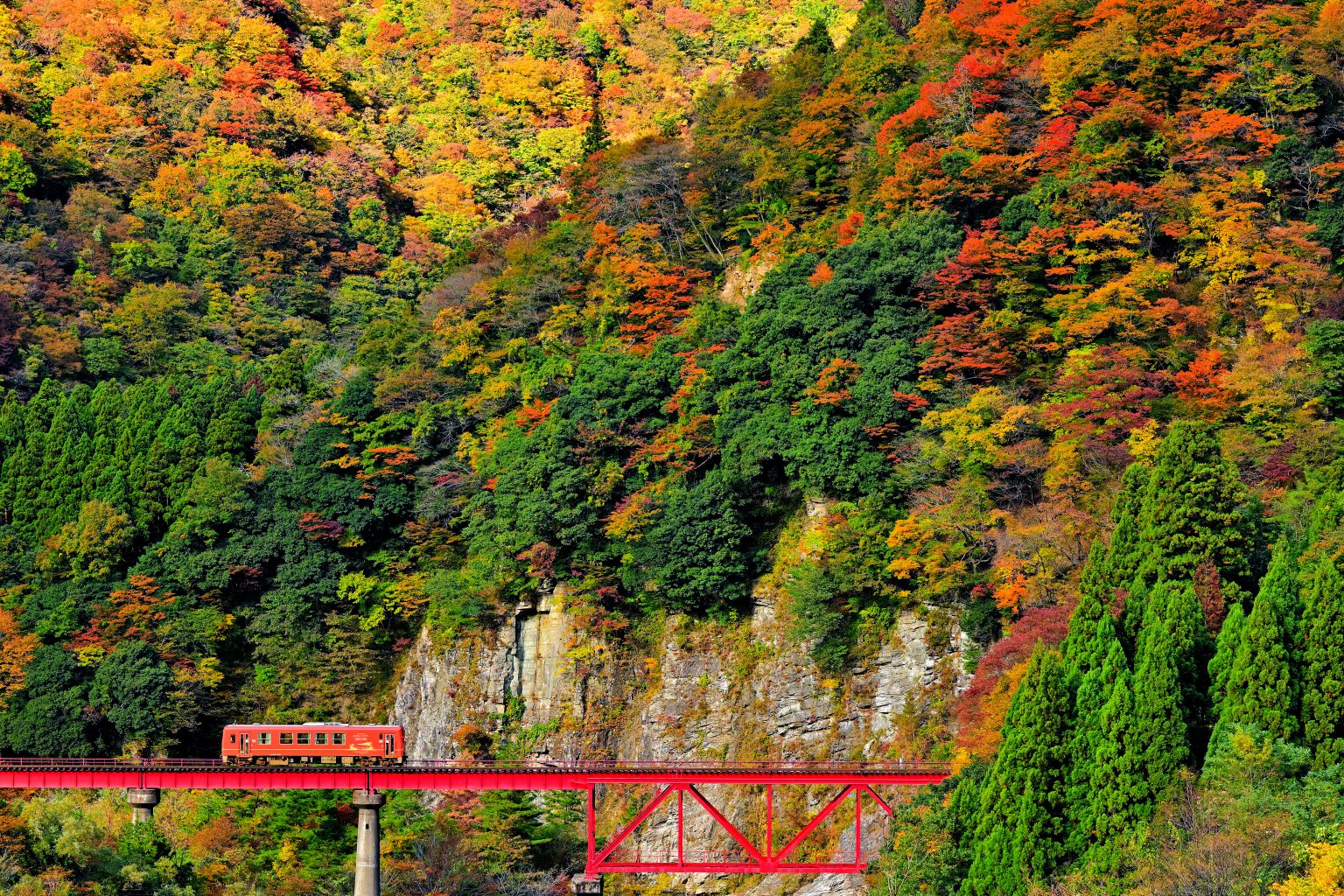 【Nikon】Z9で撮影した「秋の紅葉写真」をご紹介！