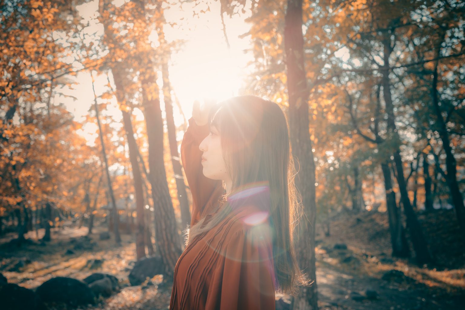【SIGMA】fpで撮影した「秋の紅葉写真」をご紹介！