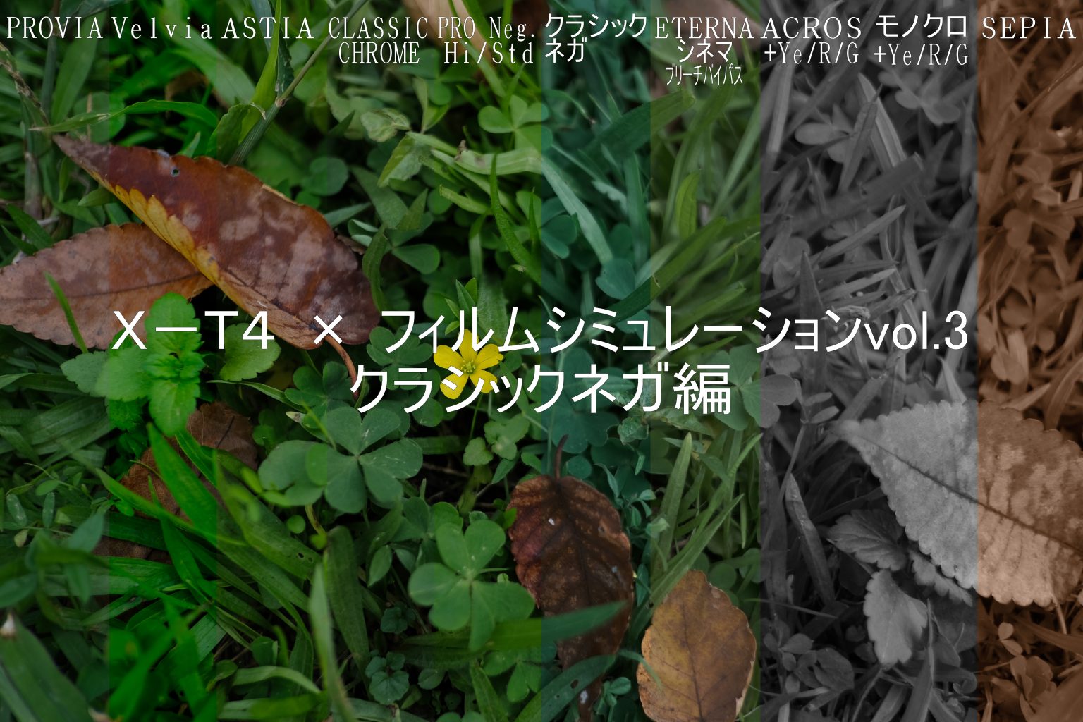 【FUJIFILM】X-T4 × フィルムシミュレーションvol.3 ～クラシックネガ編～