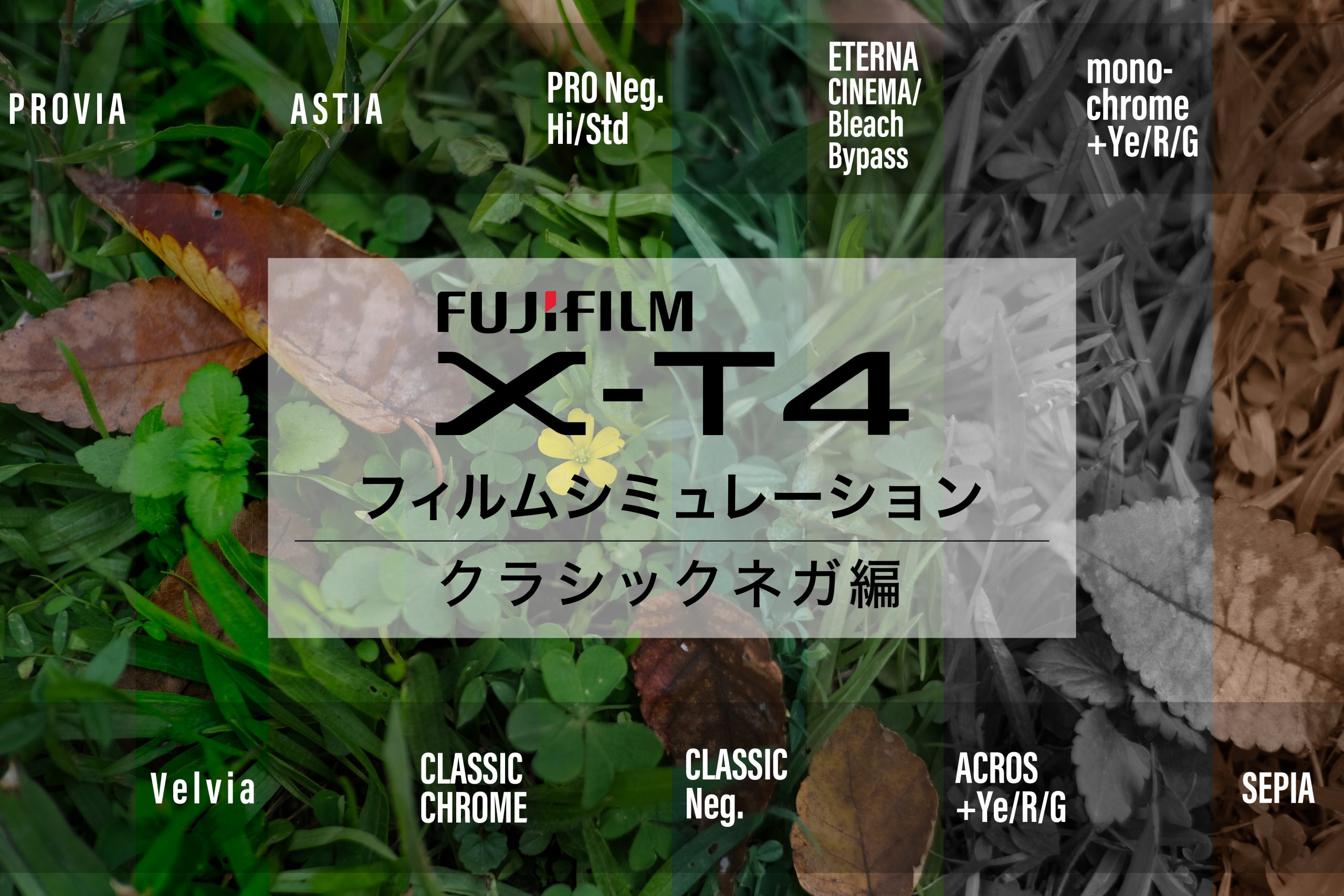 FUJIFILM  ネガフィルム　3本