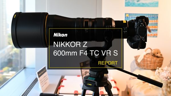 Nikon ニコン　レンズ　NIKKOR ED 600mm F4