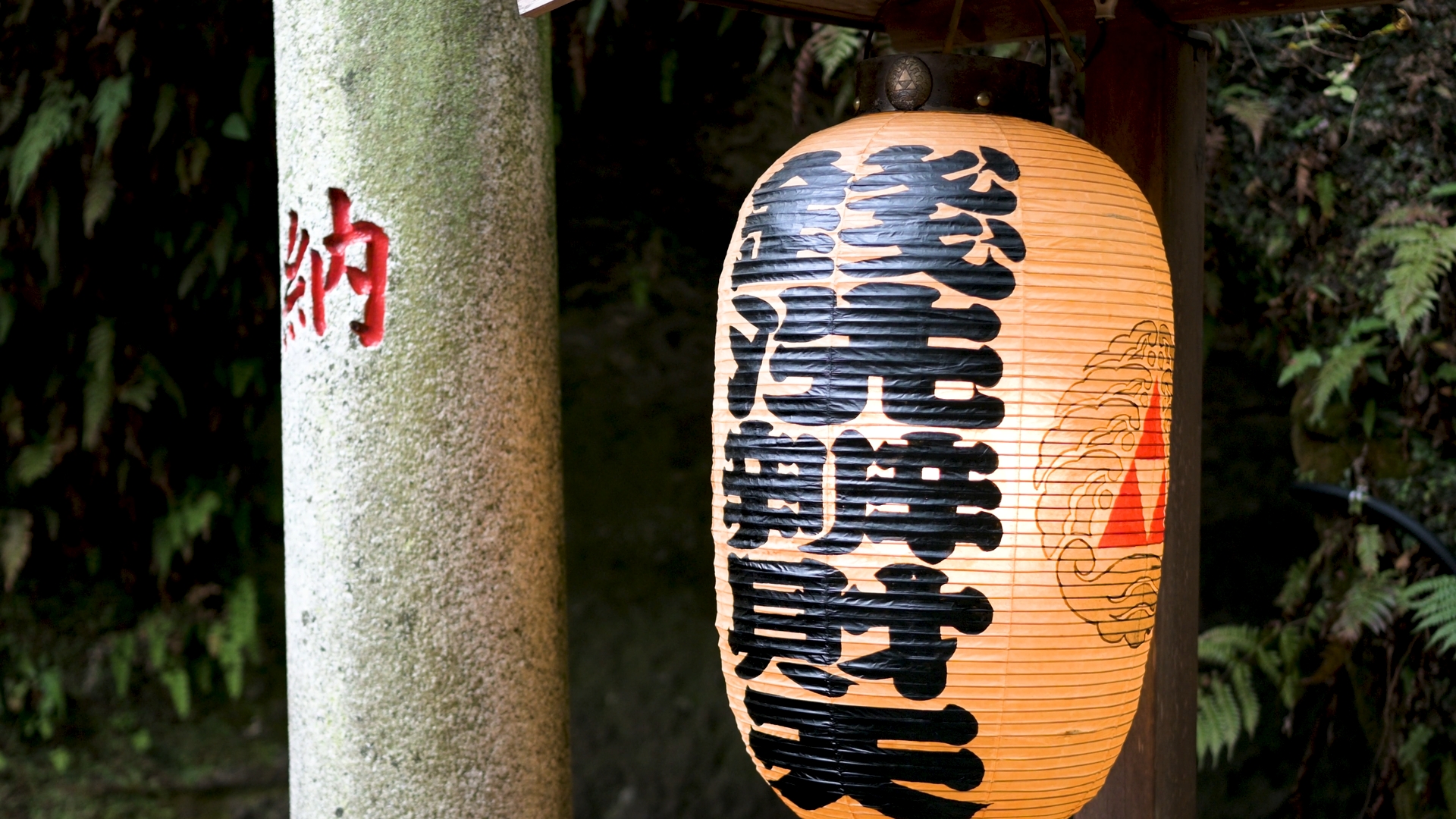 ✨ショット数まさかの35回✨スマホ転送OK✨️Nikon D5200 10004 ✨ショット数まさかの35回✨スマホ転送OK✨️Nikon D5200 10004